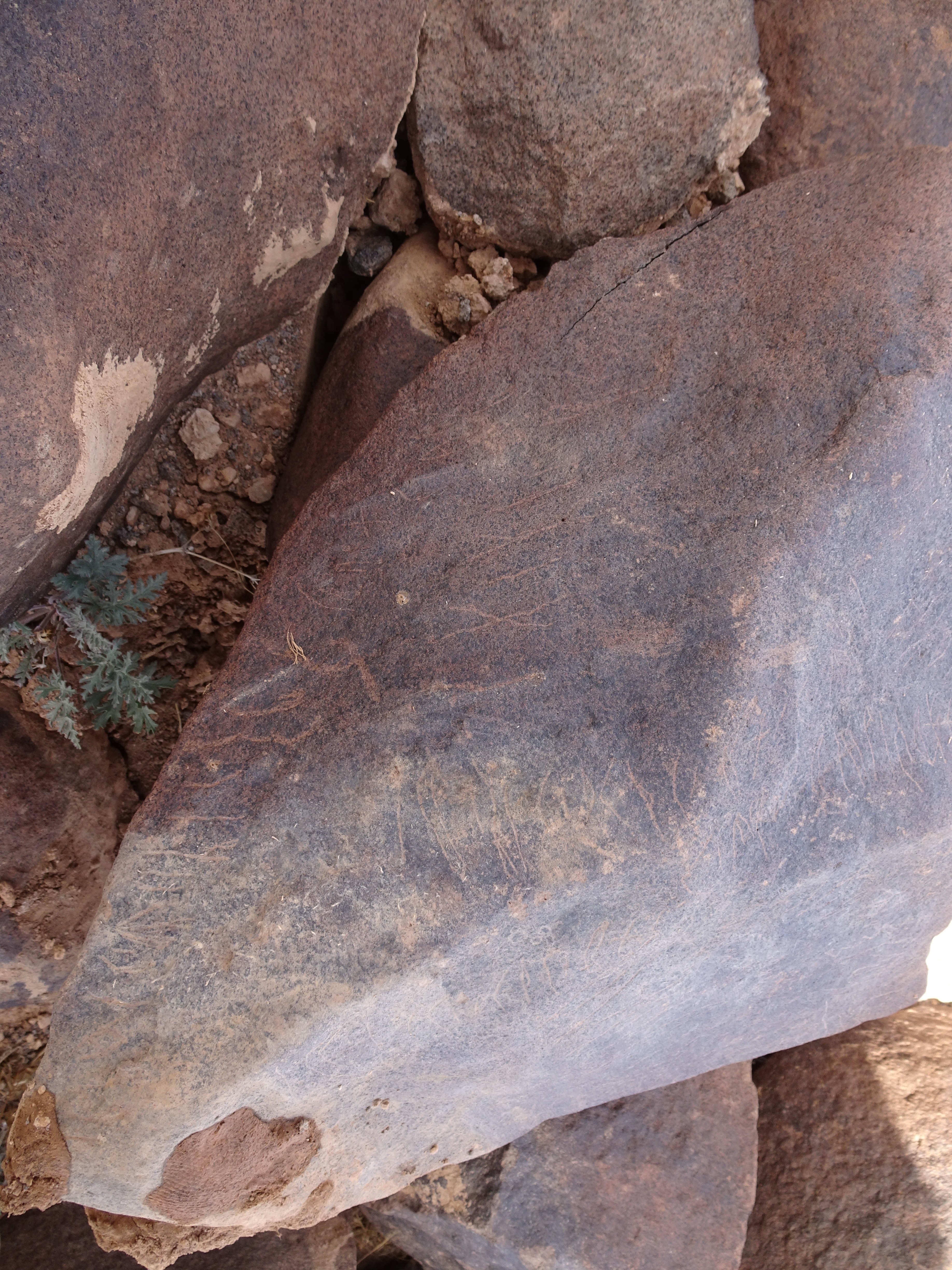 Image of siglum BES20 1839