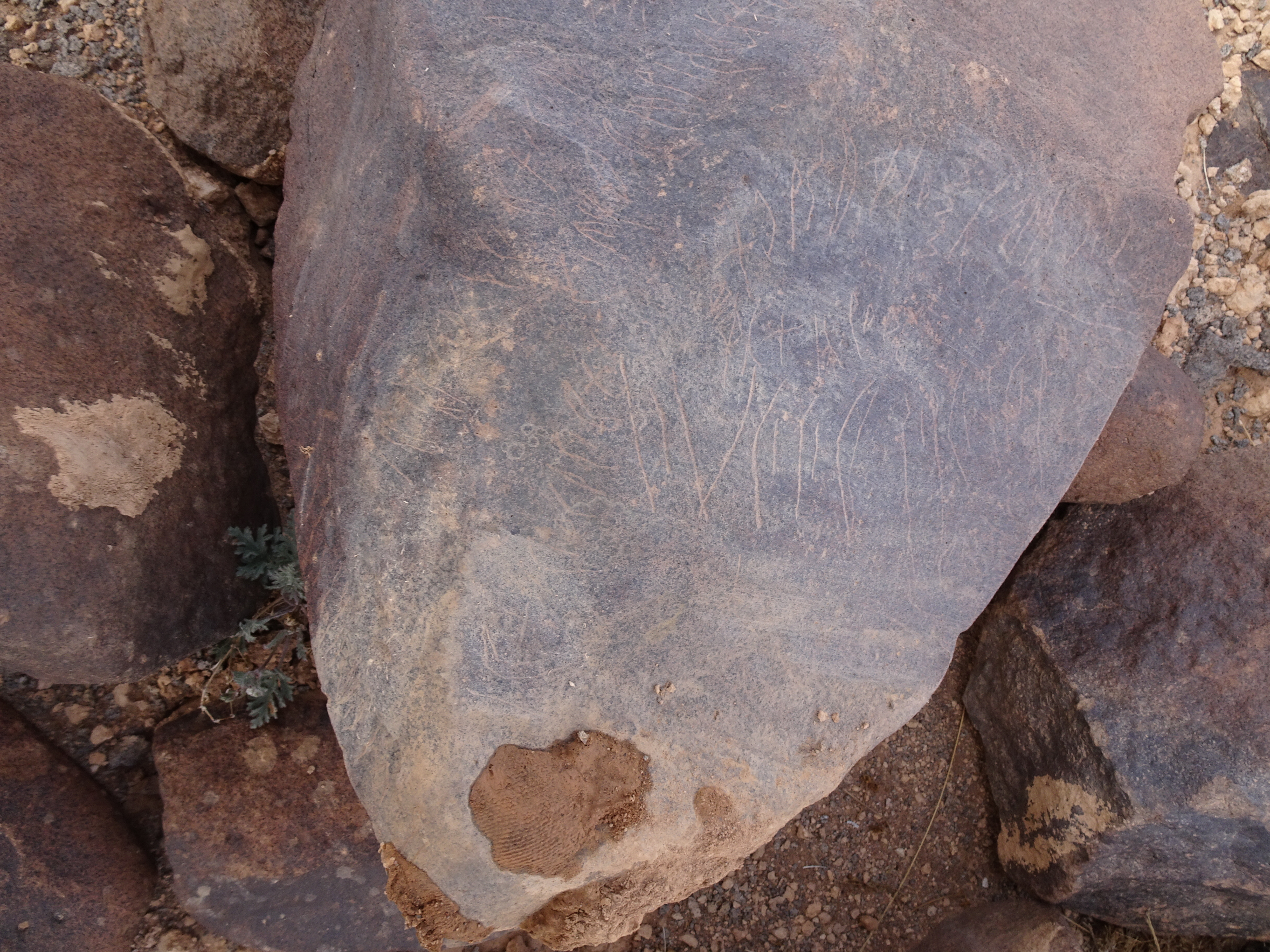 Image of siglum BES20 1839