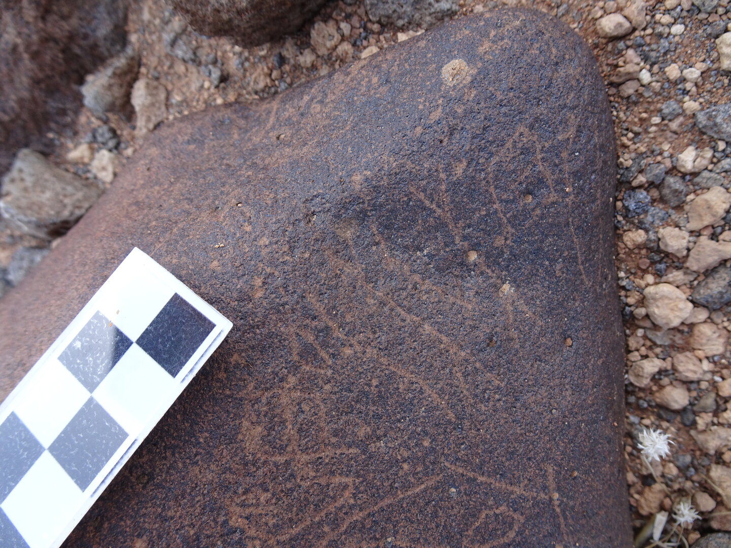 inscription of siglum BES20 184