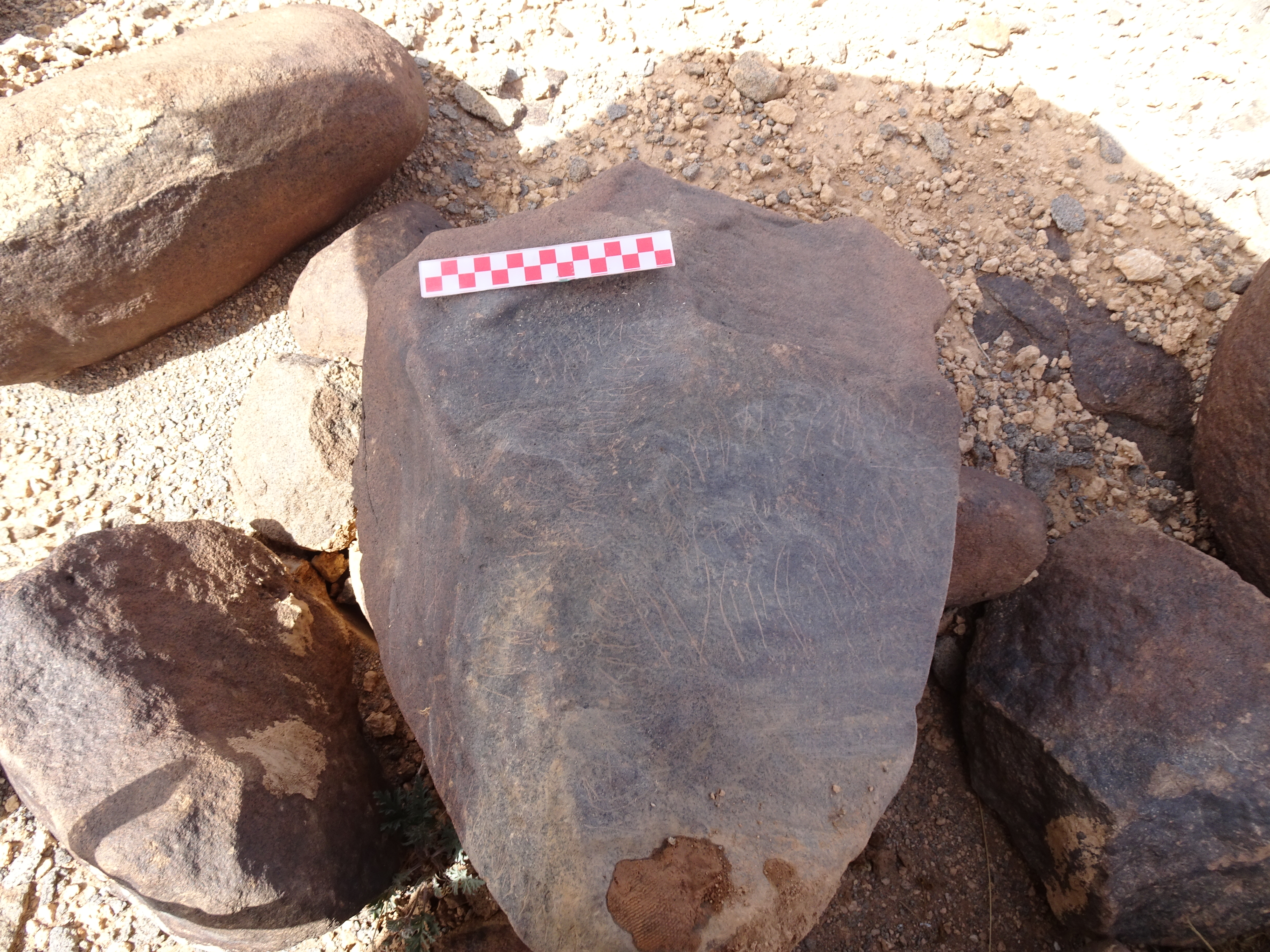 Image of siglum BES20 1840