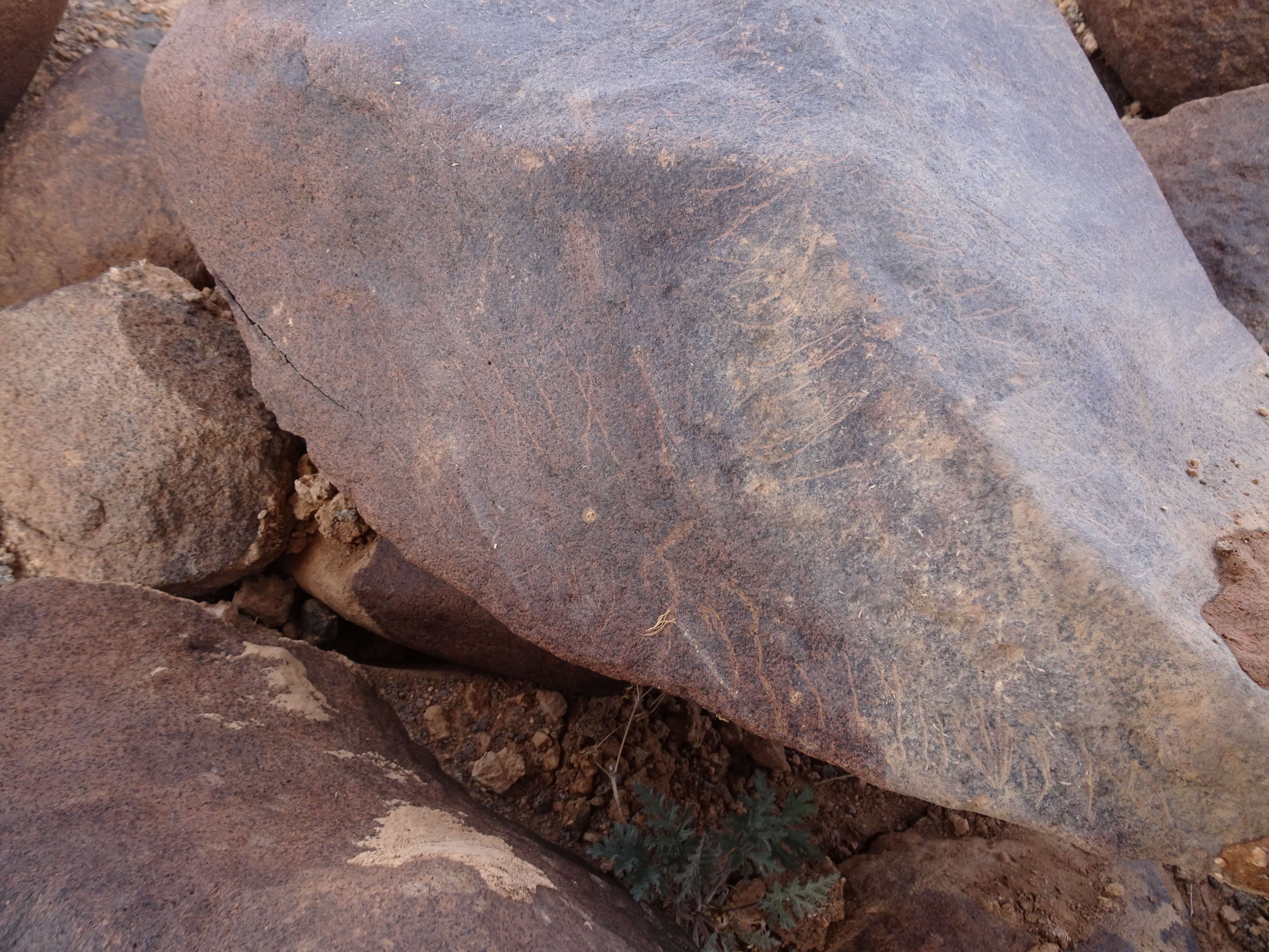 Image of siglum BES20 1840