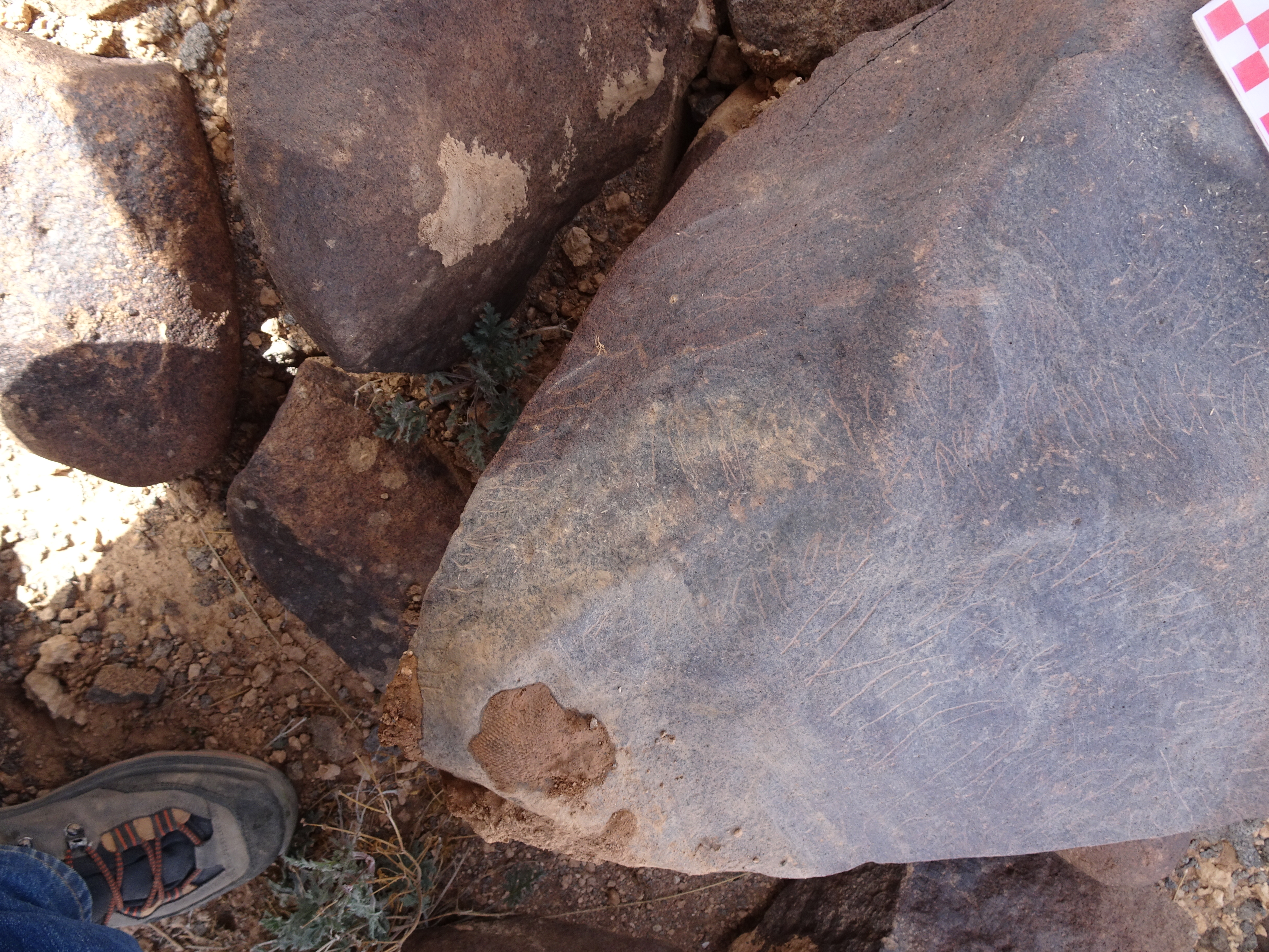 Image of siglum BES20 1840