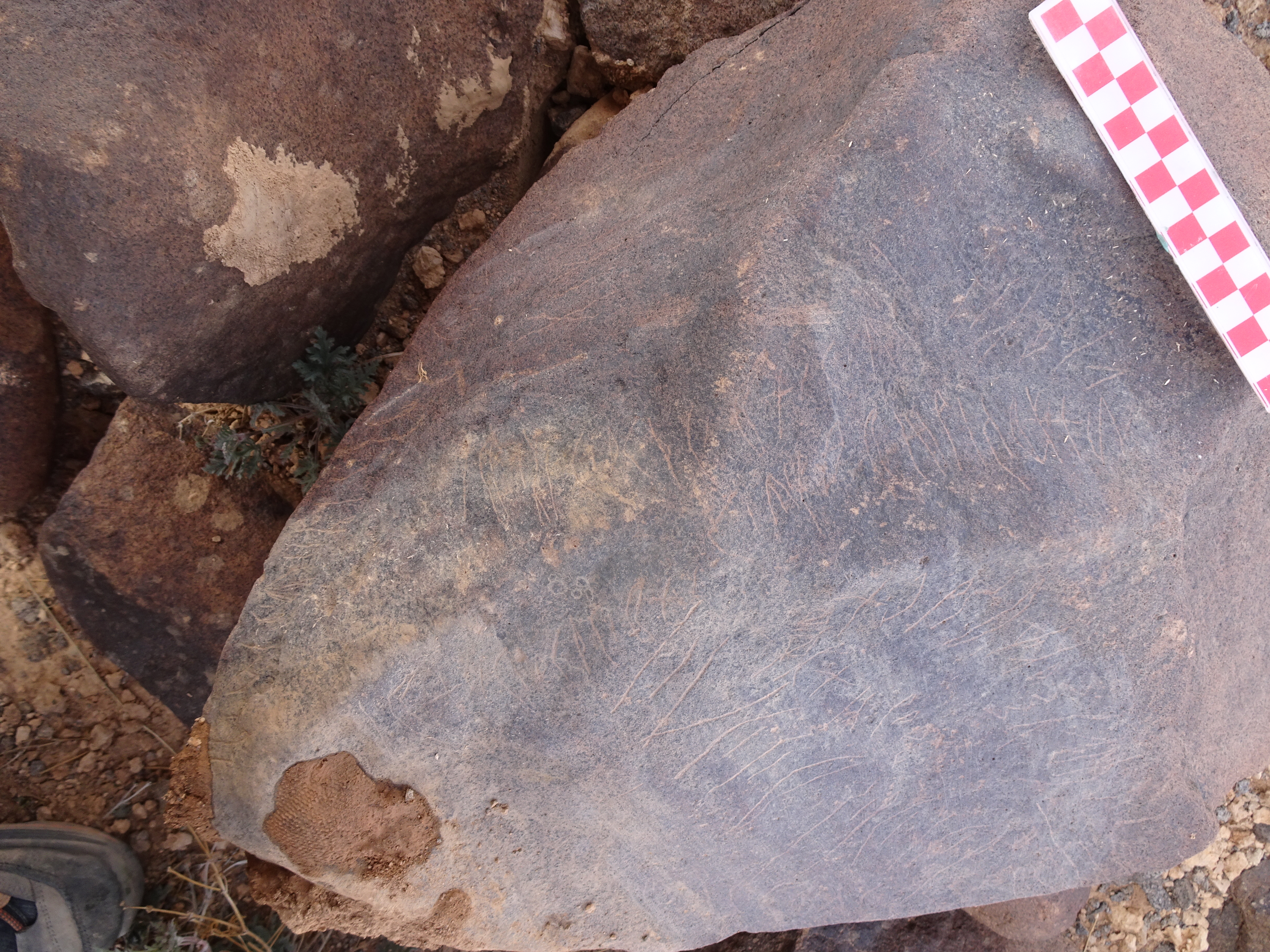 Image of siglum BES20 1840