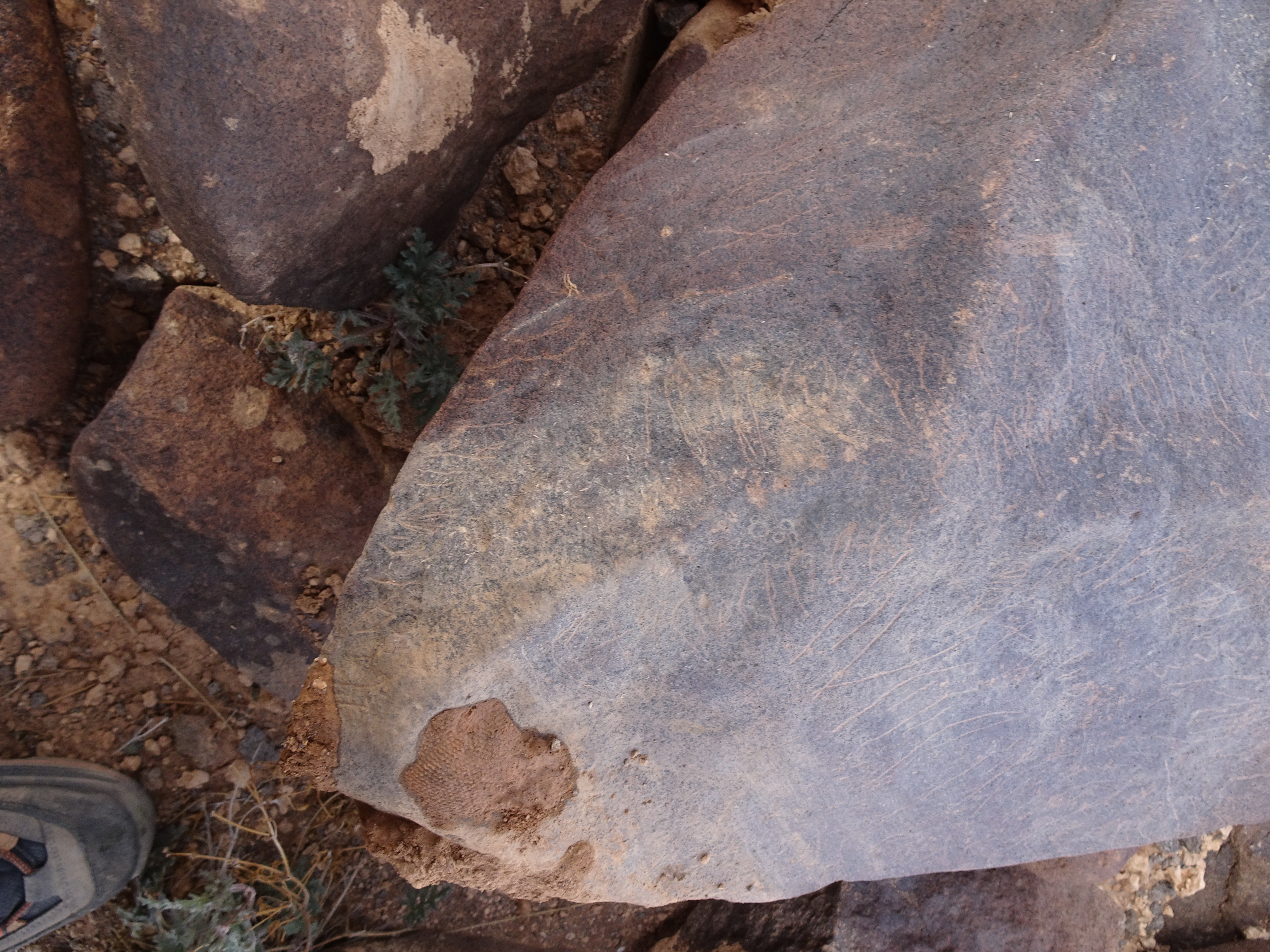 Image of siglum BES20 1840