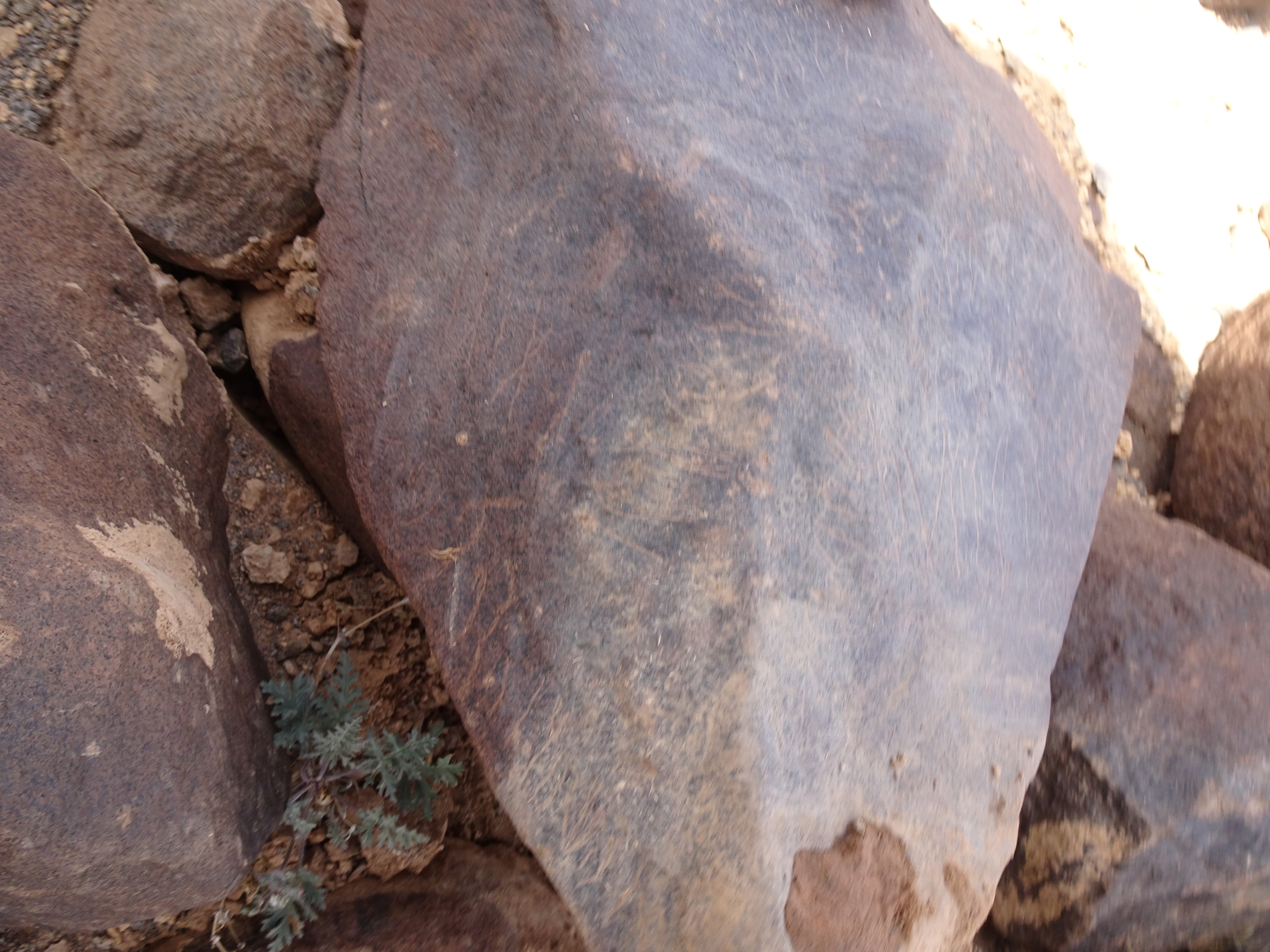 Image of siglum BES20 1840