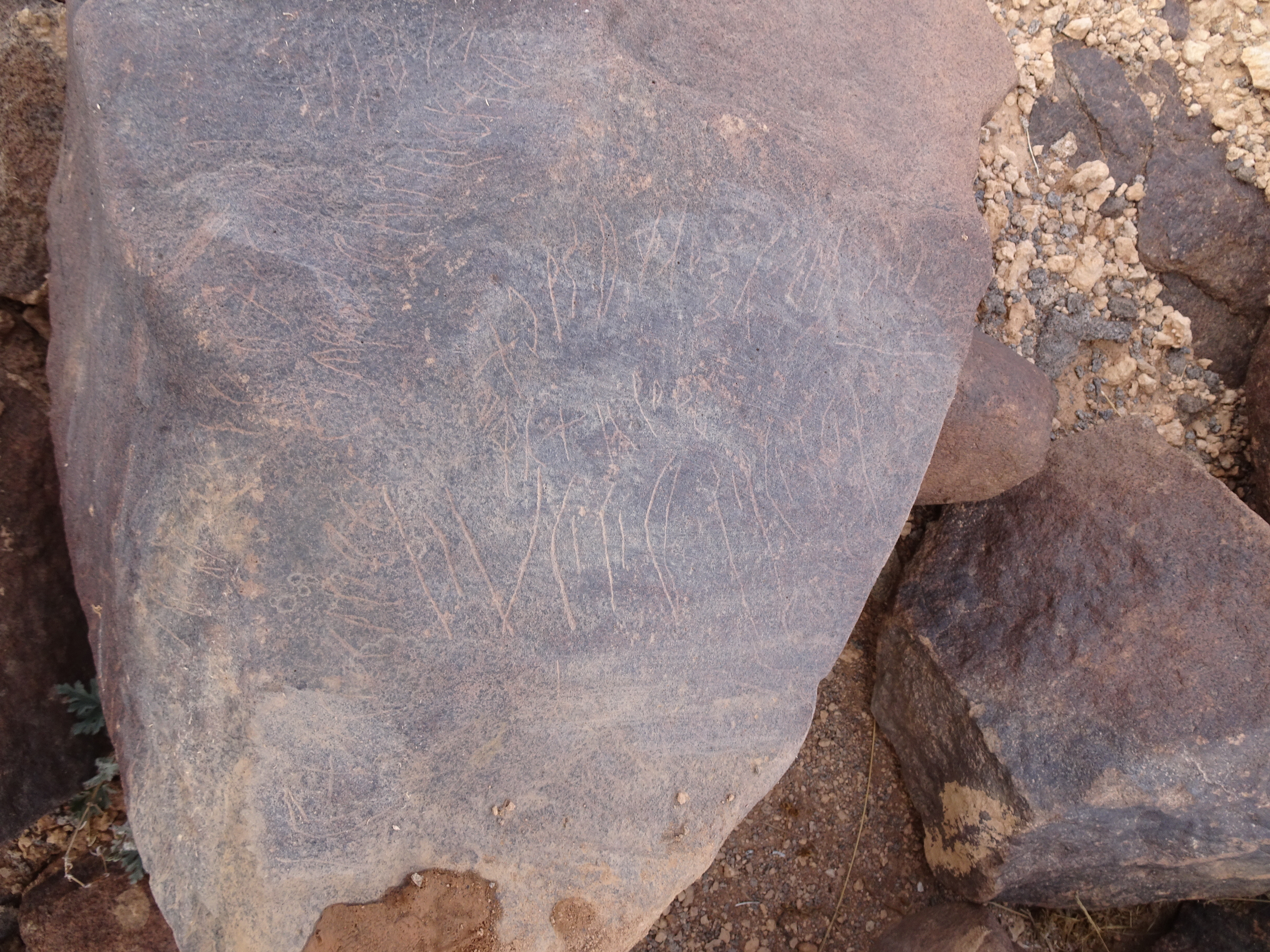 Image of siglum BES20 1840