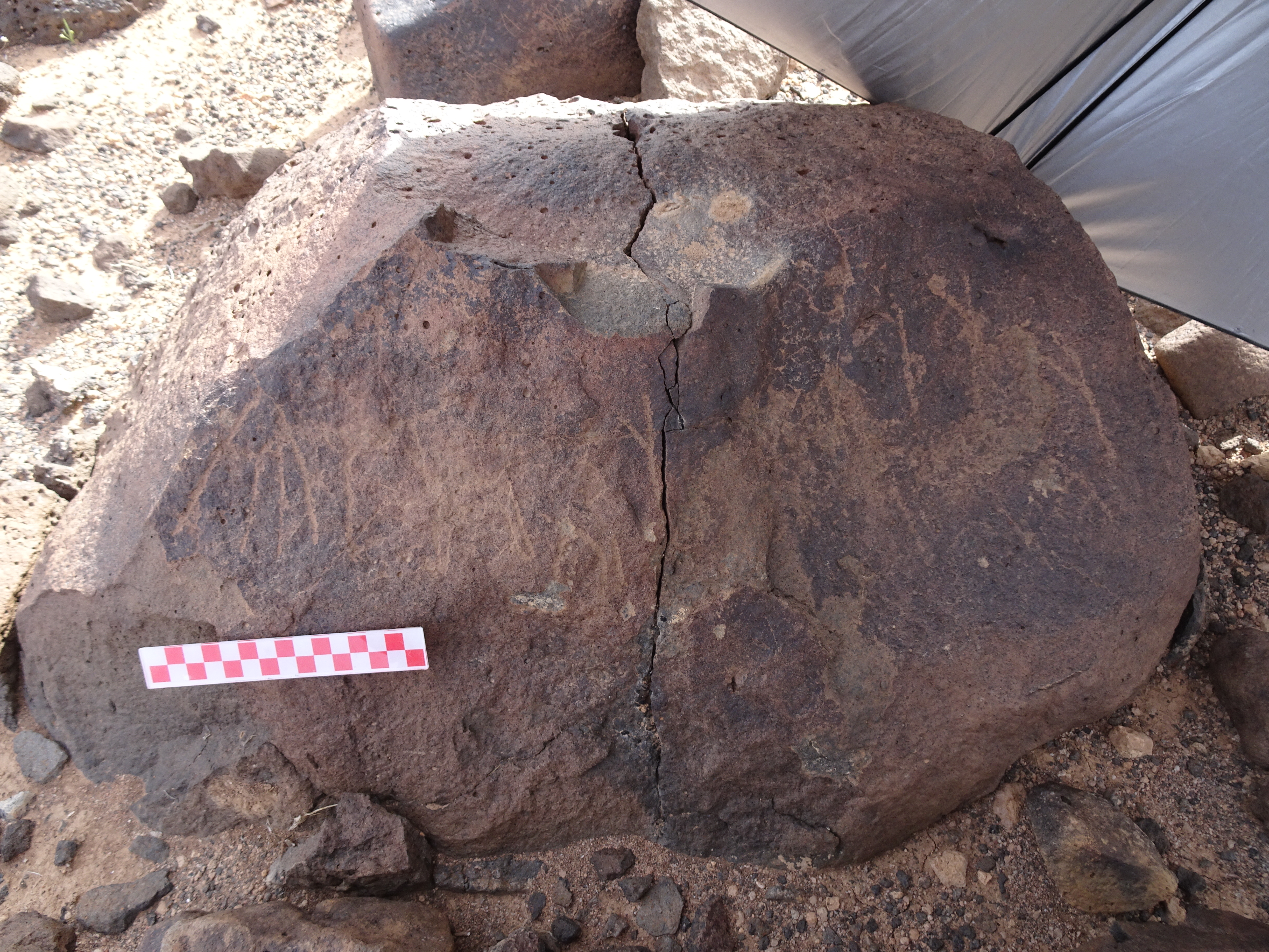 Image of siglum BES20 1843