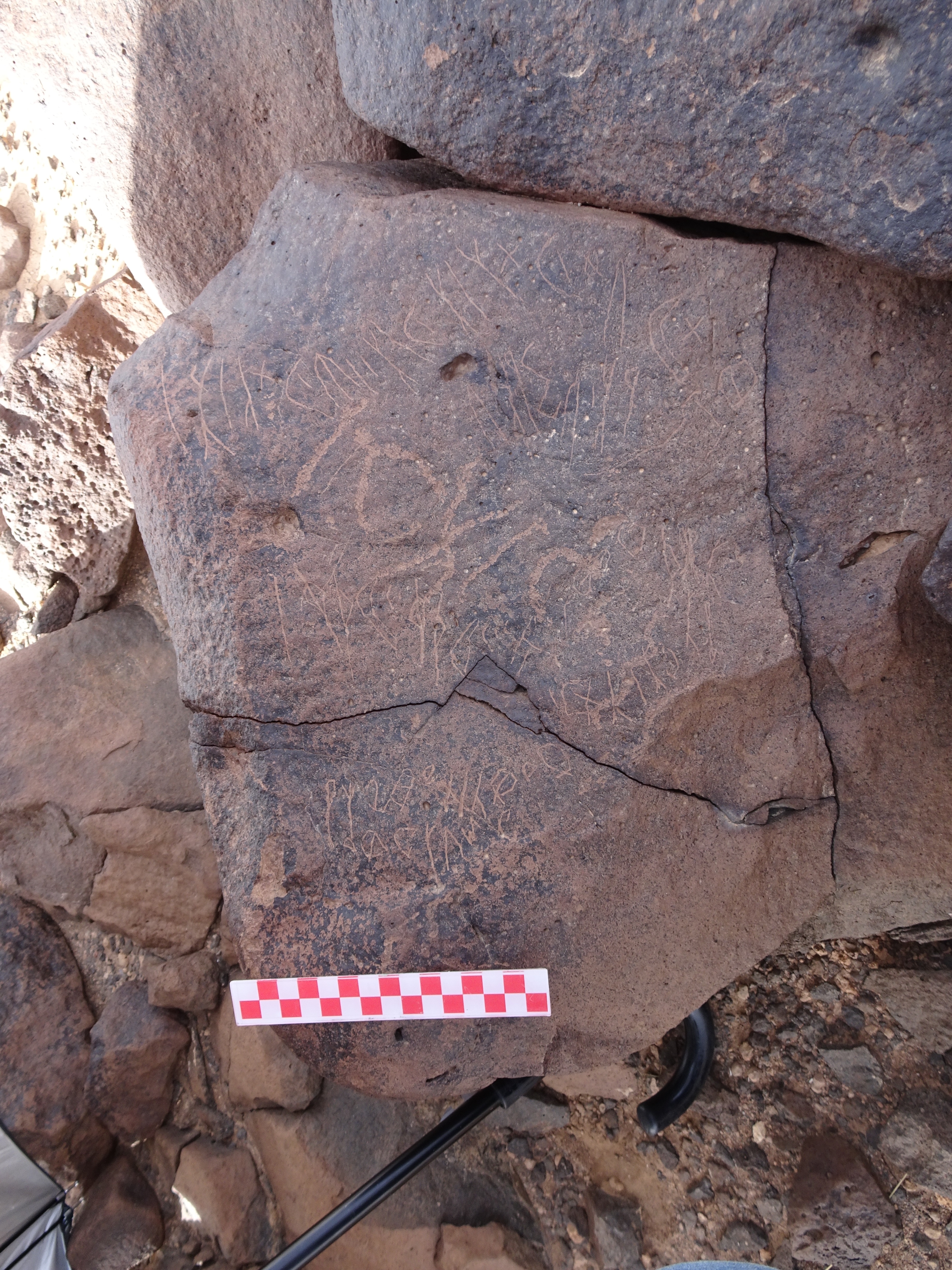 Image of siglum BES20 1847