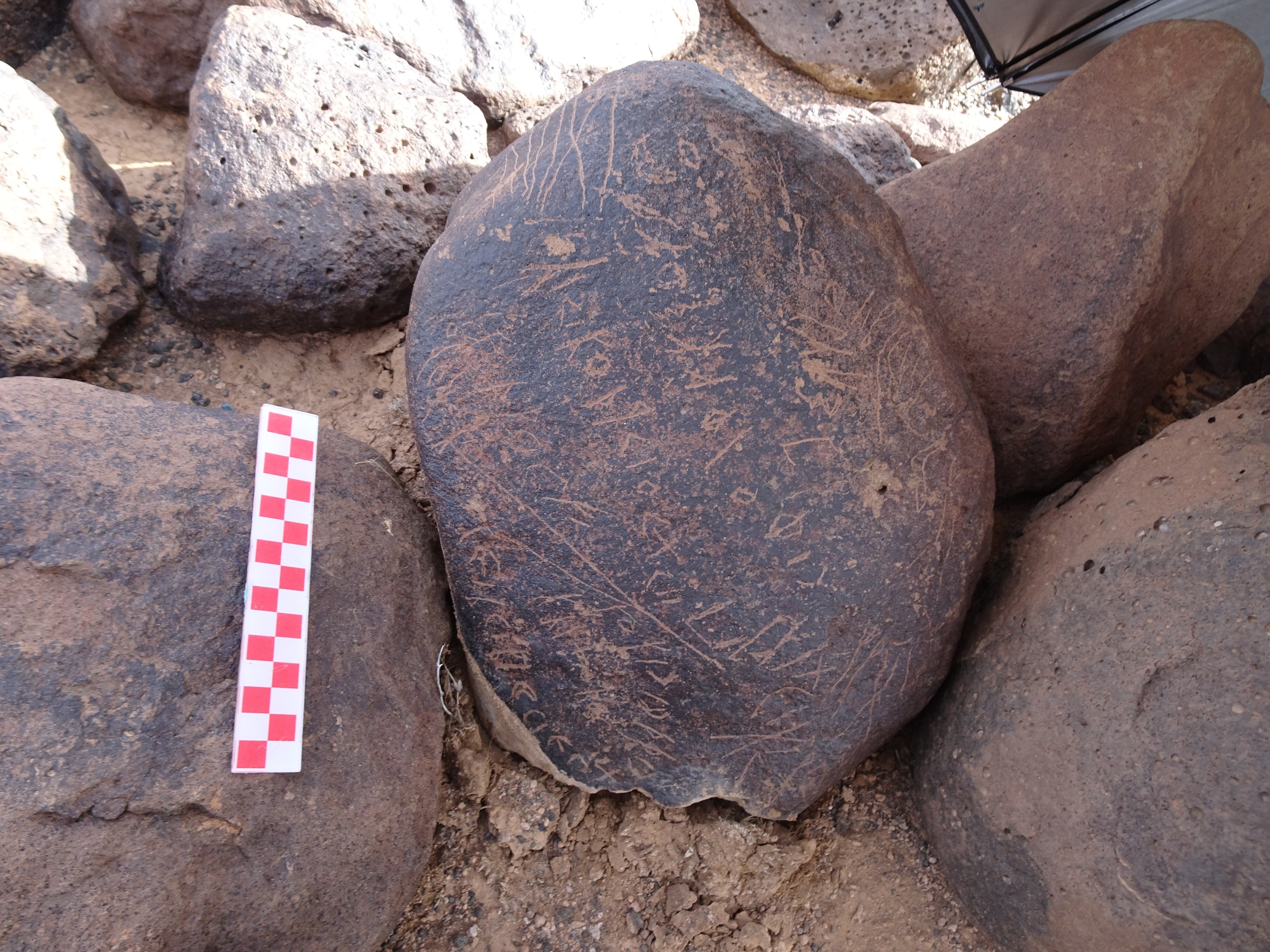 Image of siglum BES20 1849