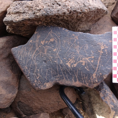 Image of siglum BES20 1855