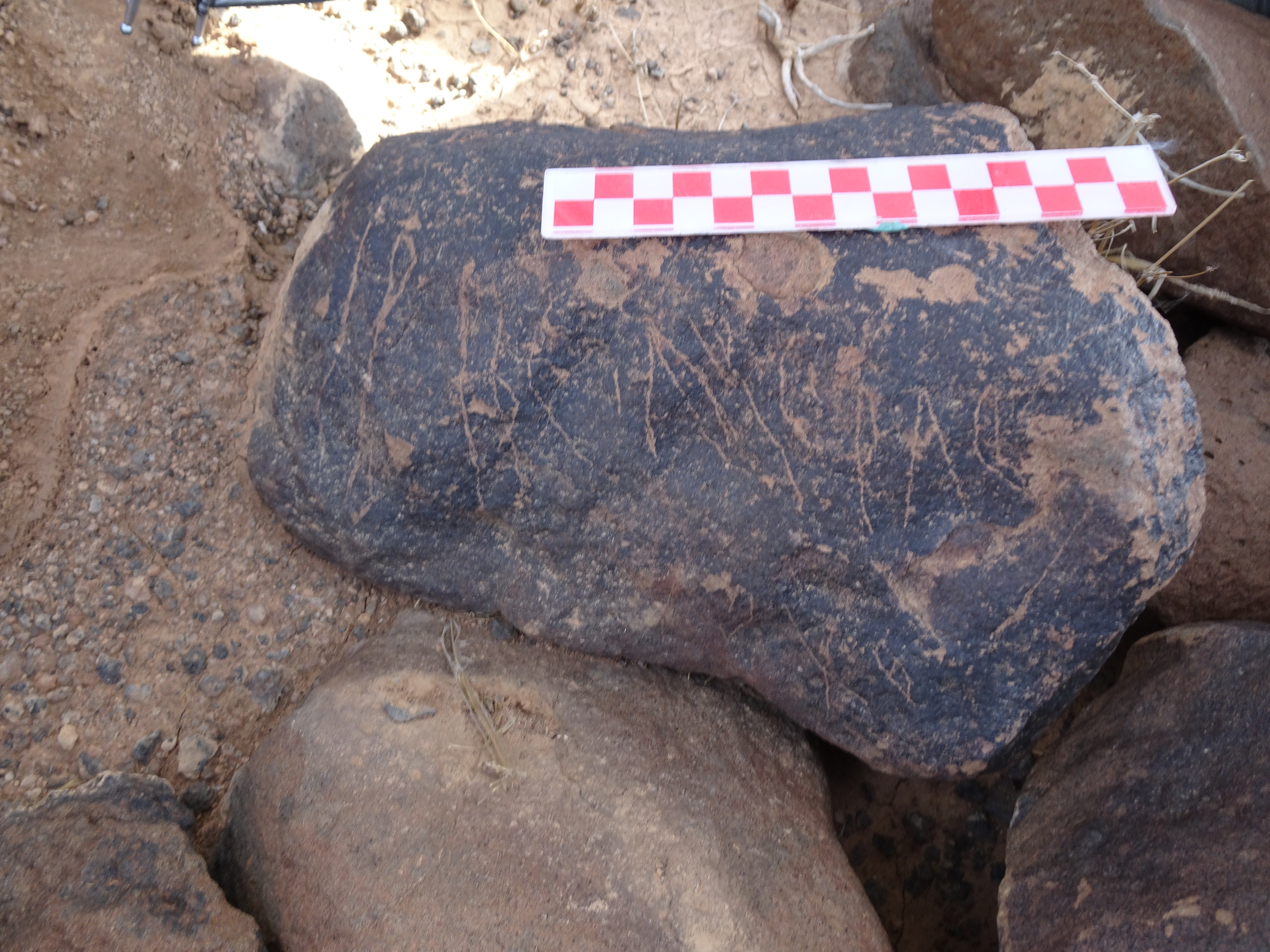 Image of siglum BES20 1856