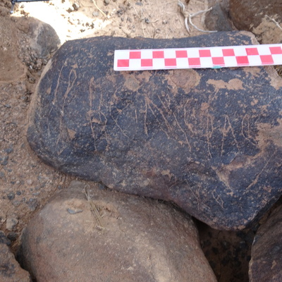 Image of siglum BES20 1856