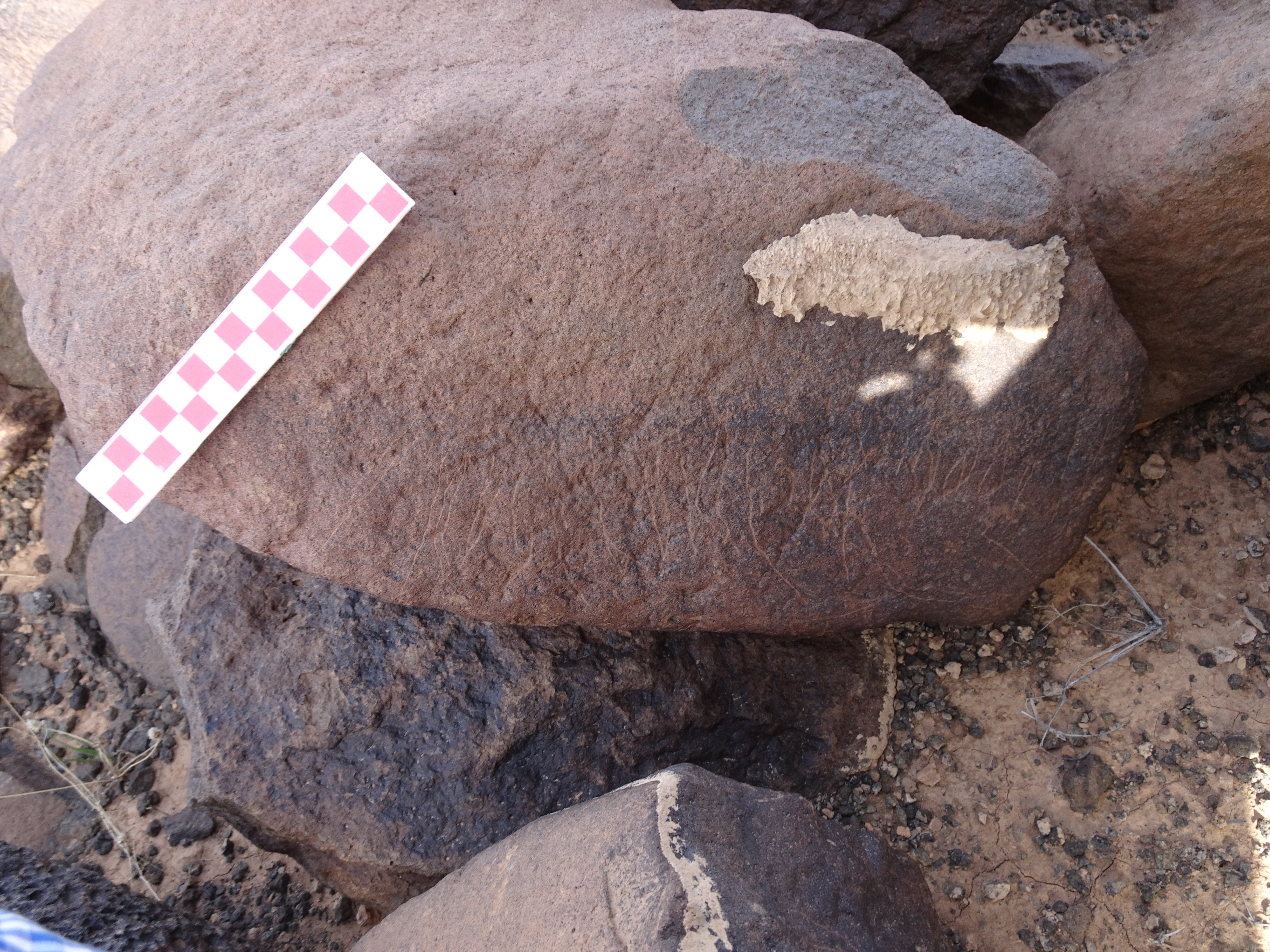 Image of siglum BES20 1857