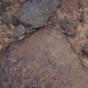 Dsc03835