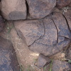 Dsc03844