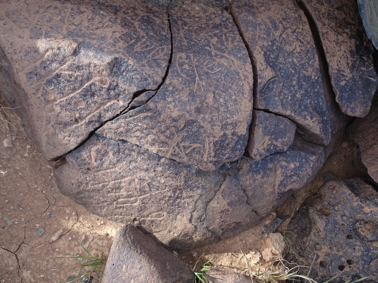 Dsc03849