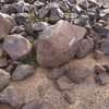 Dsc03901