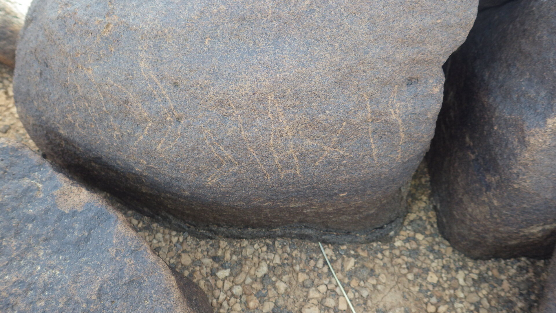 Rimg8905