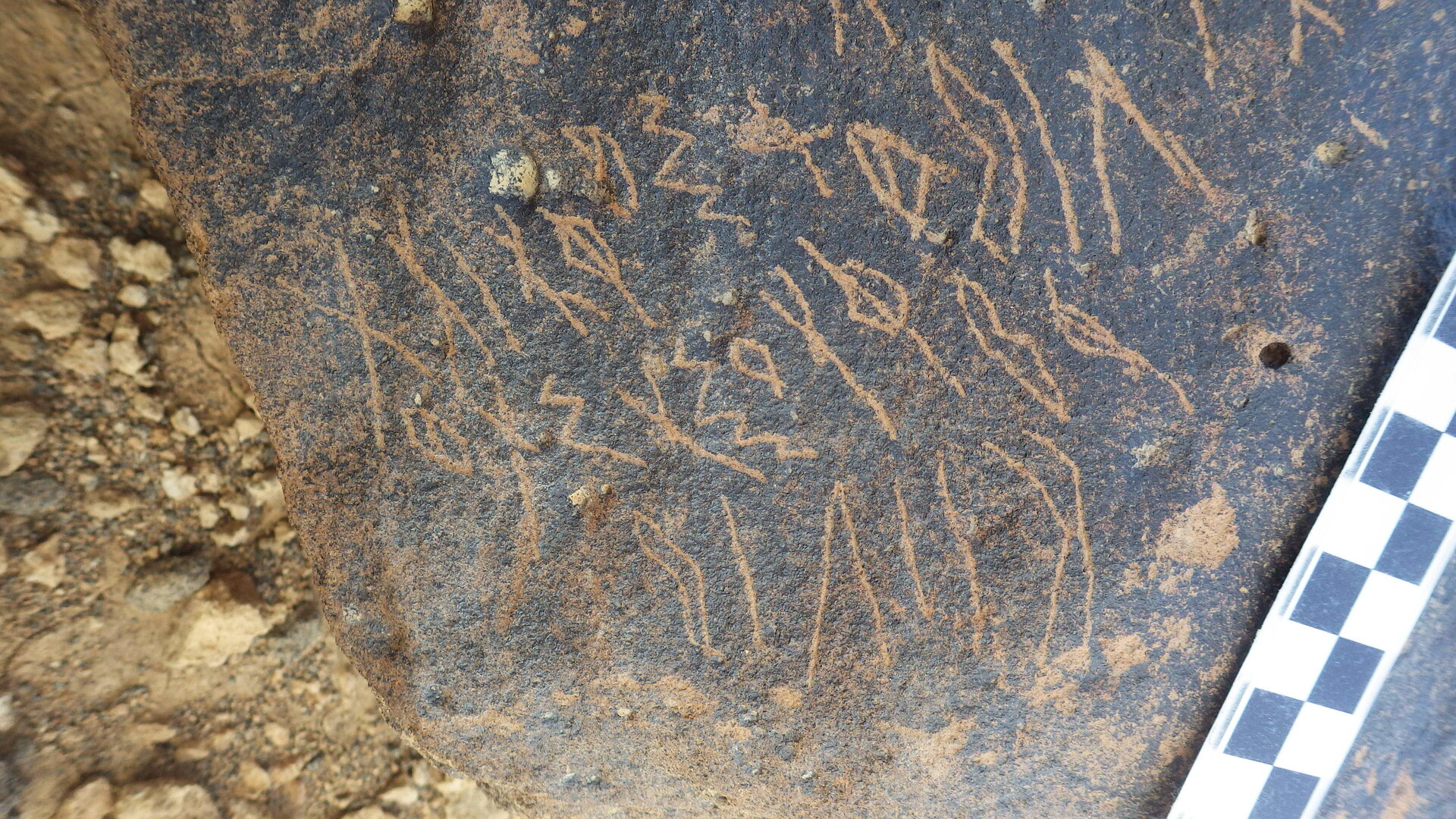Rimg8978