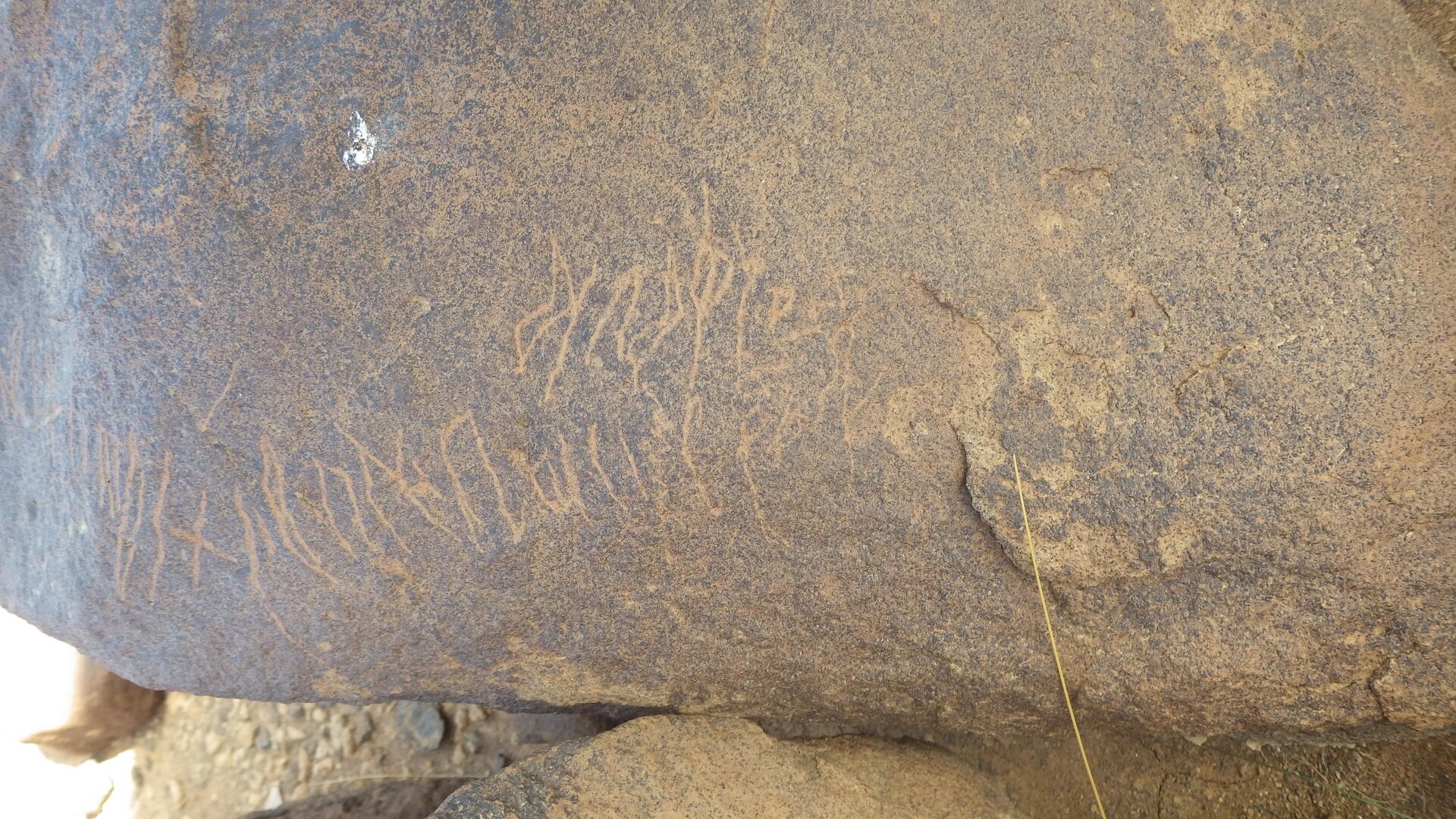 Rimg9059