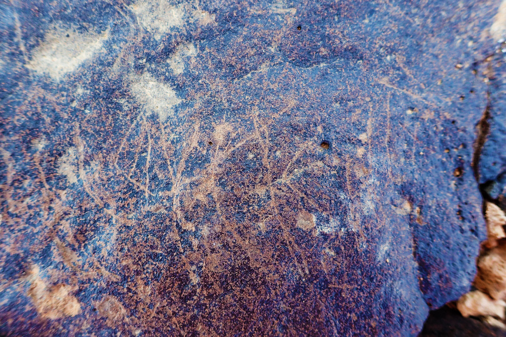 inscription of siglum BES20 224