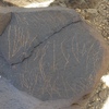 Rimg9172