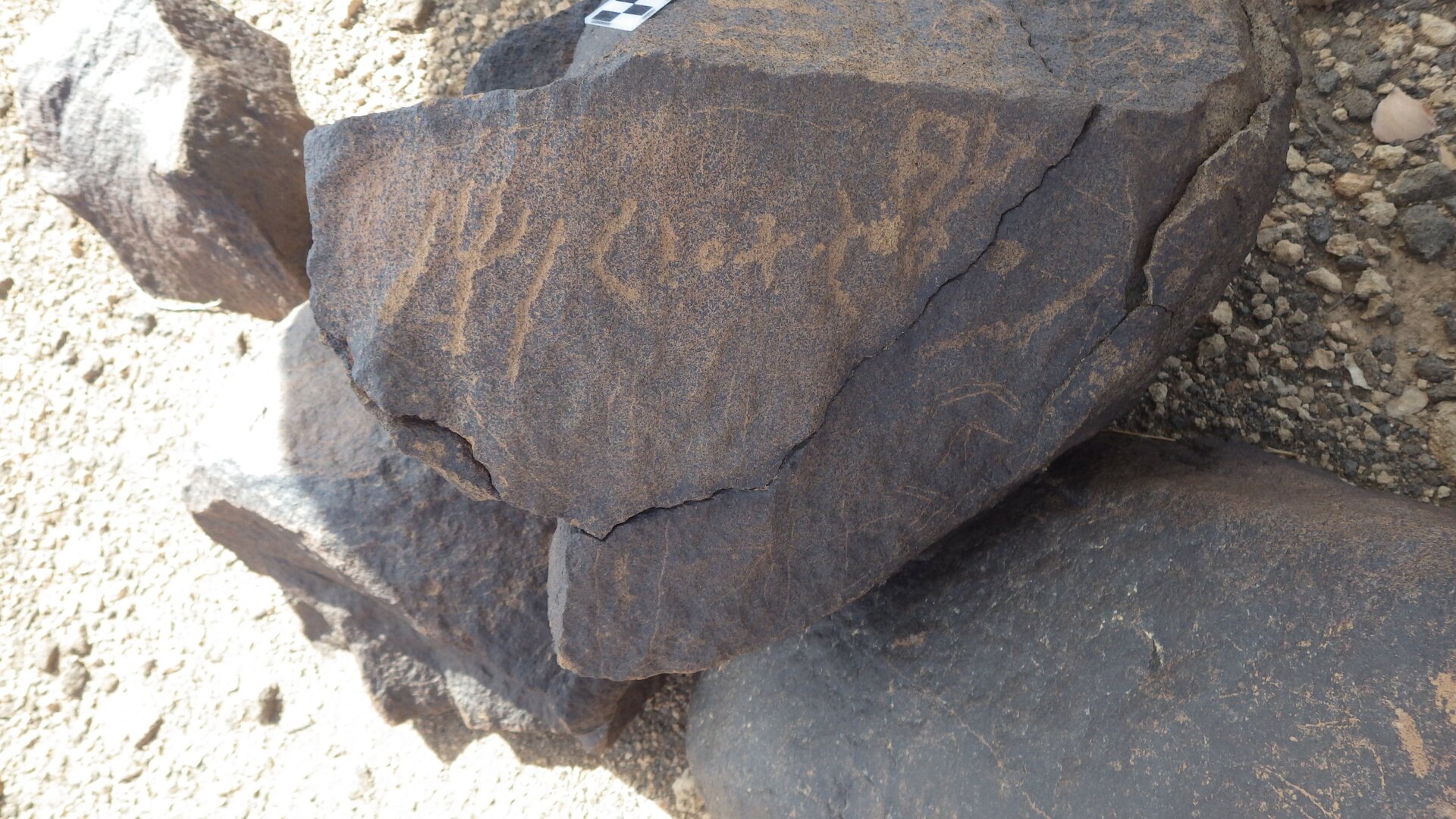 Image of BES20 2319