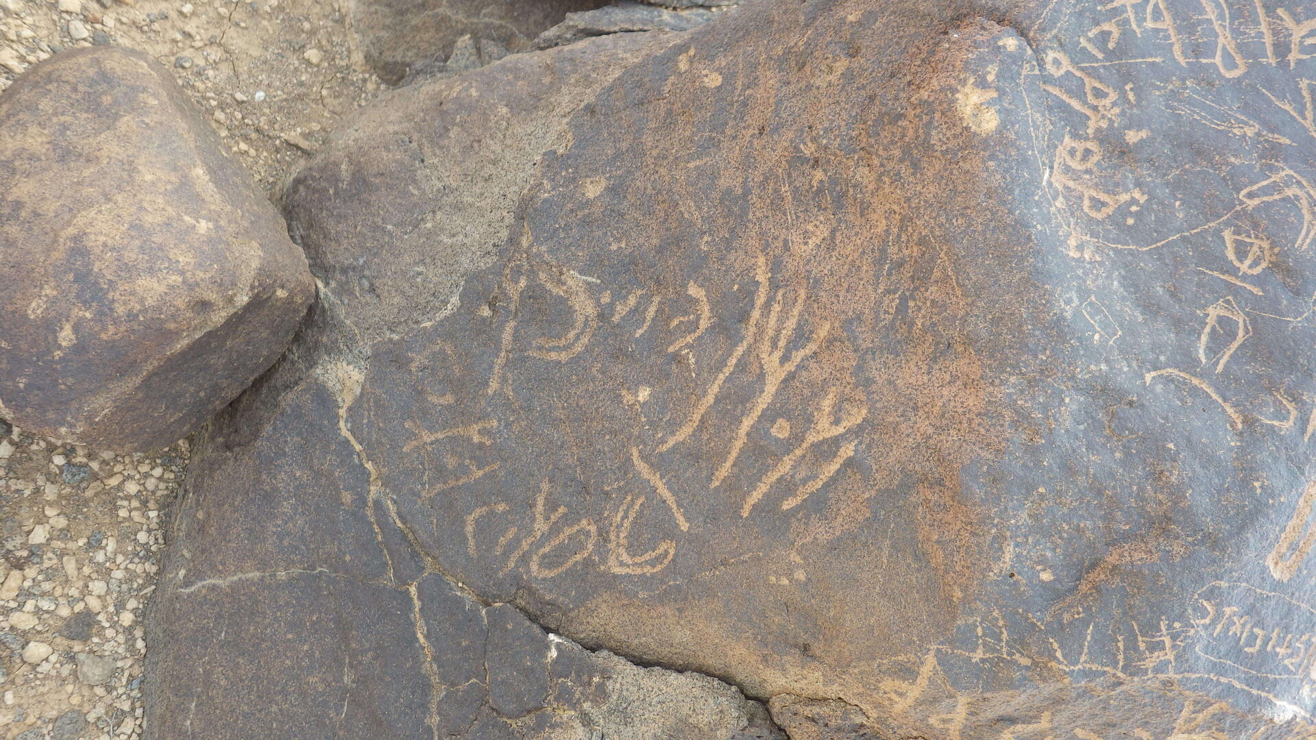 Rimg9272