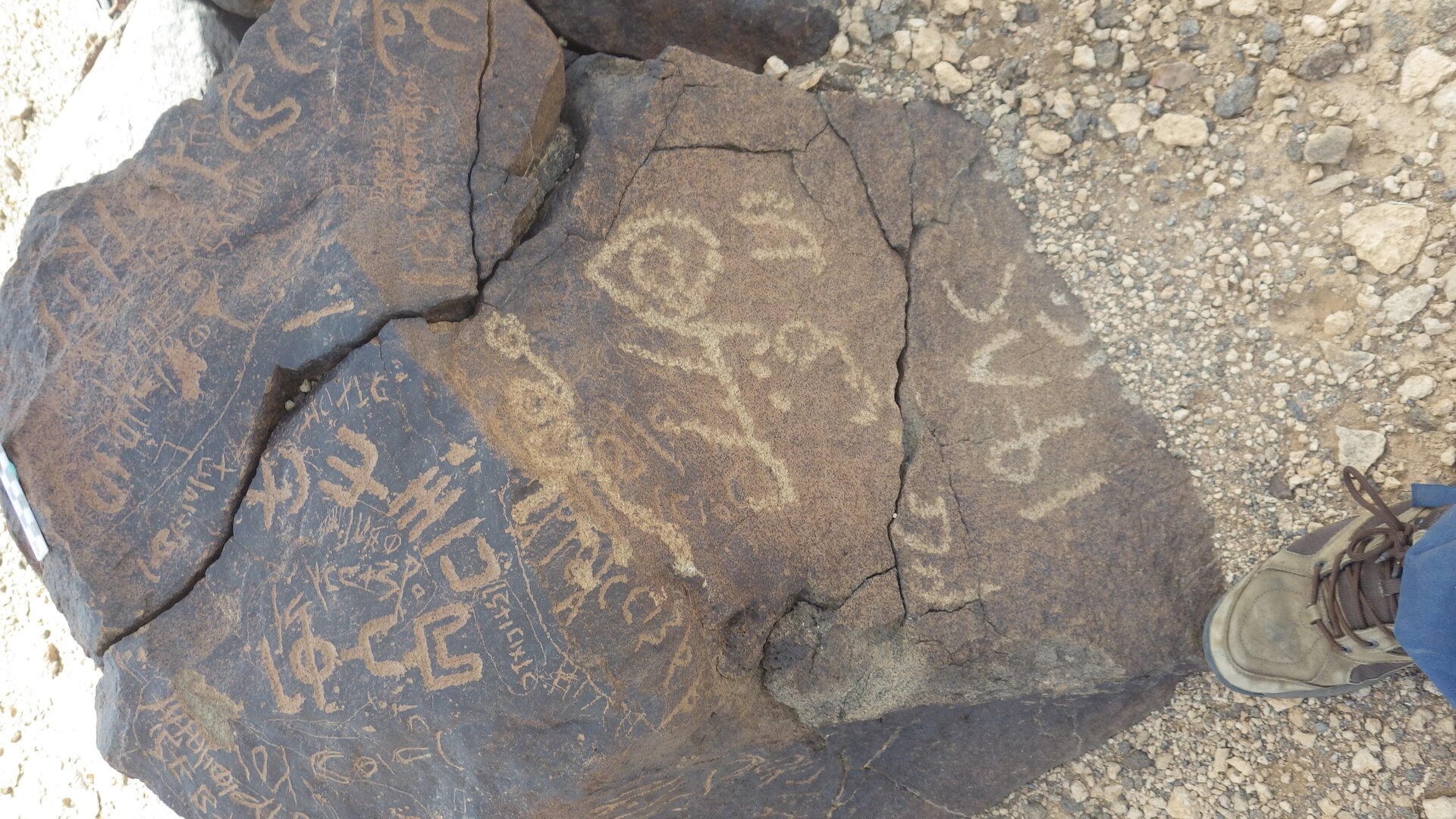 Rimg9273