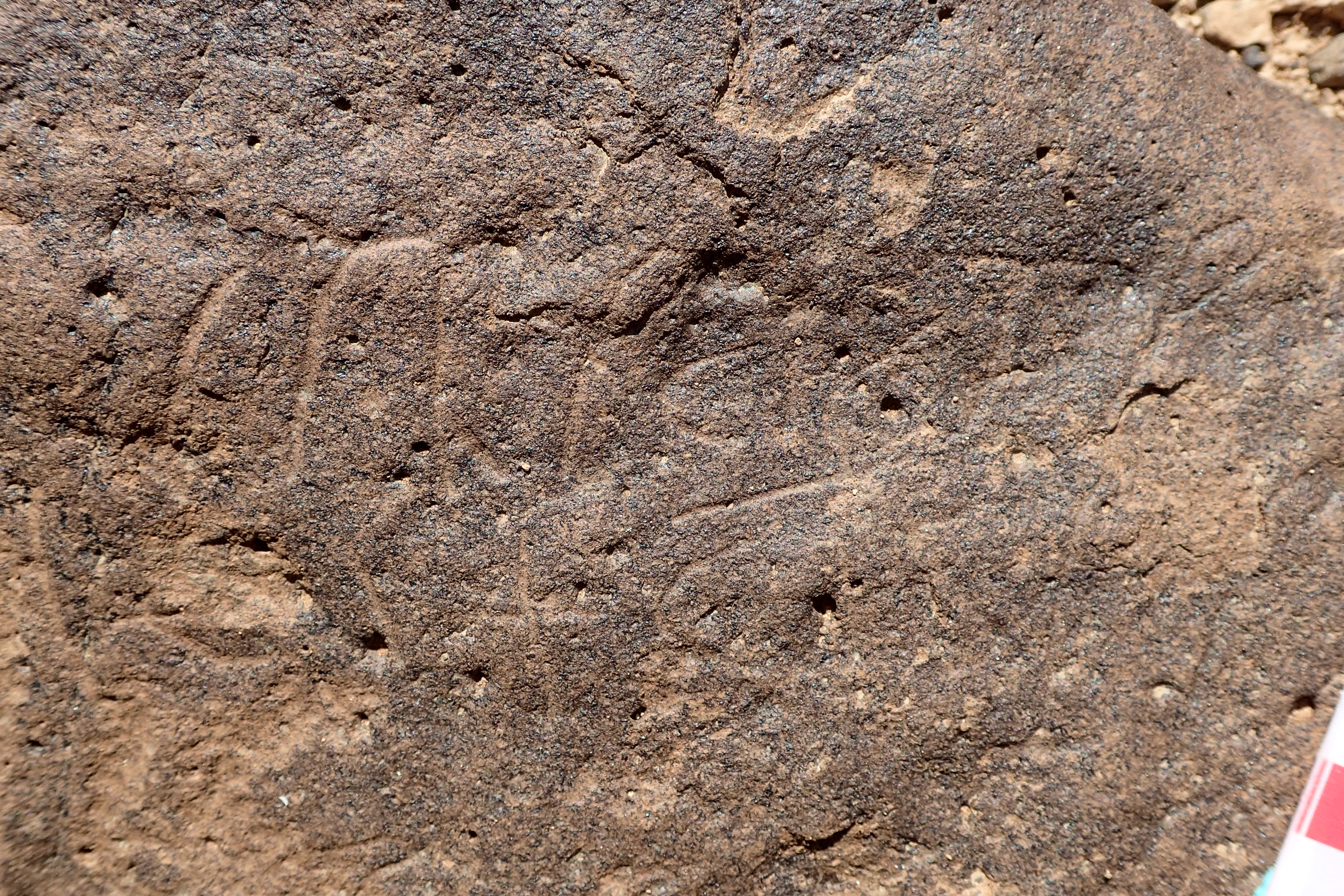 inscription of siglum BES20 249