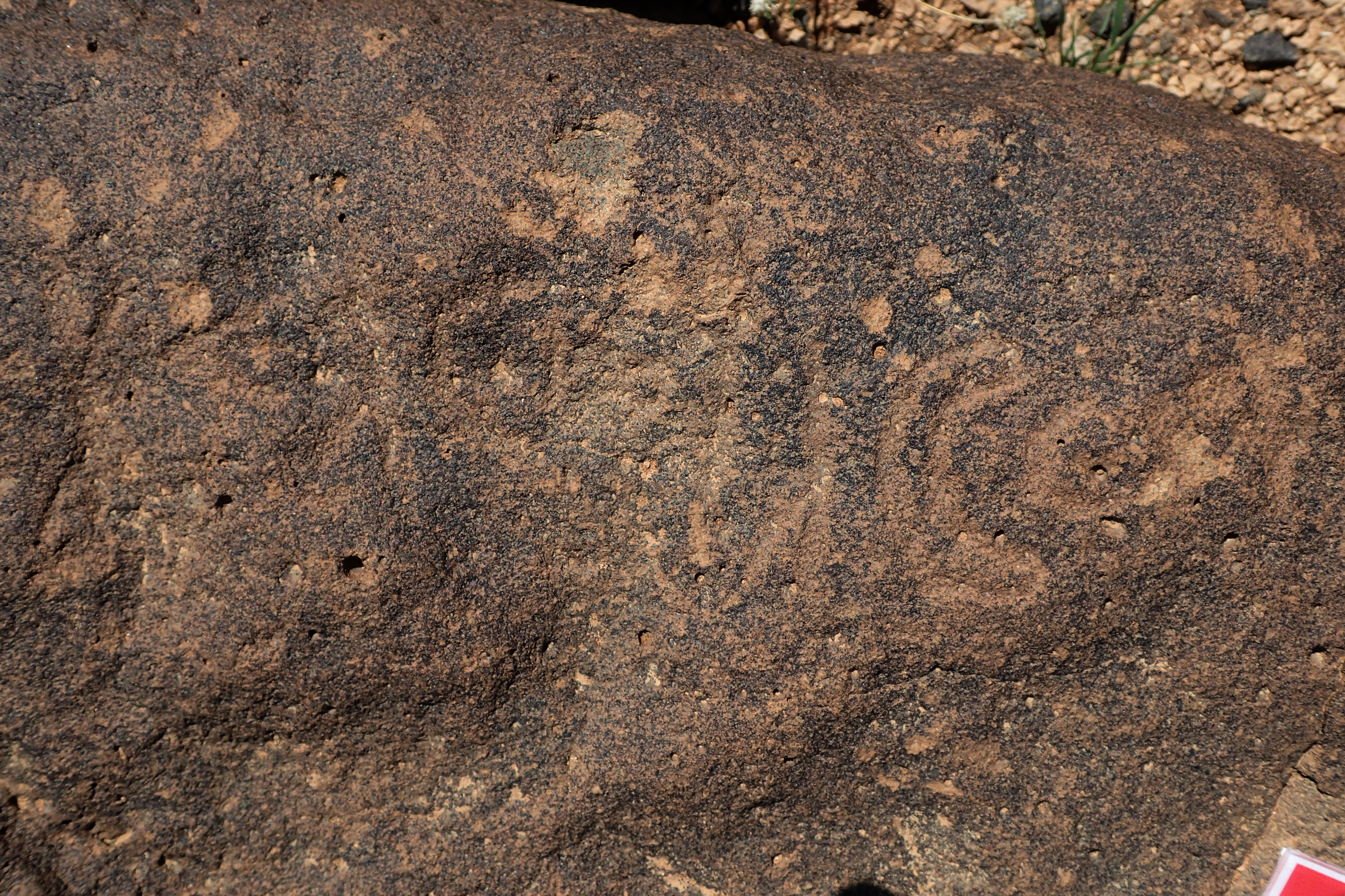 inscription of siglum BES20 254