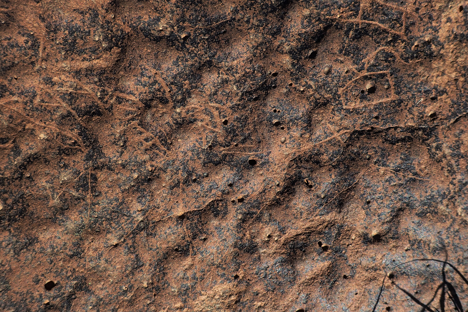 inscription of siglum BES20 257