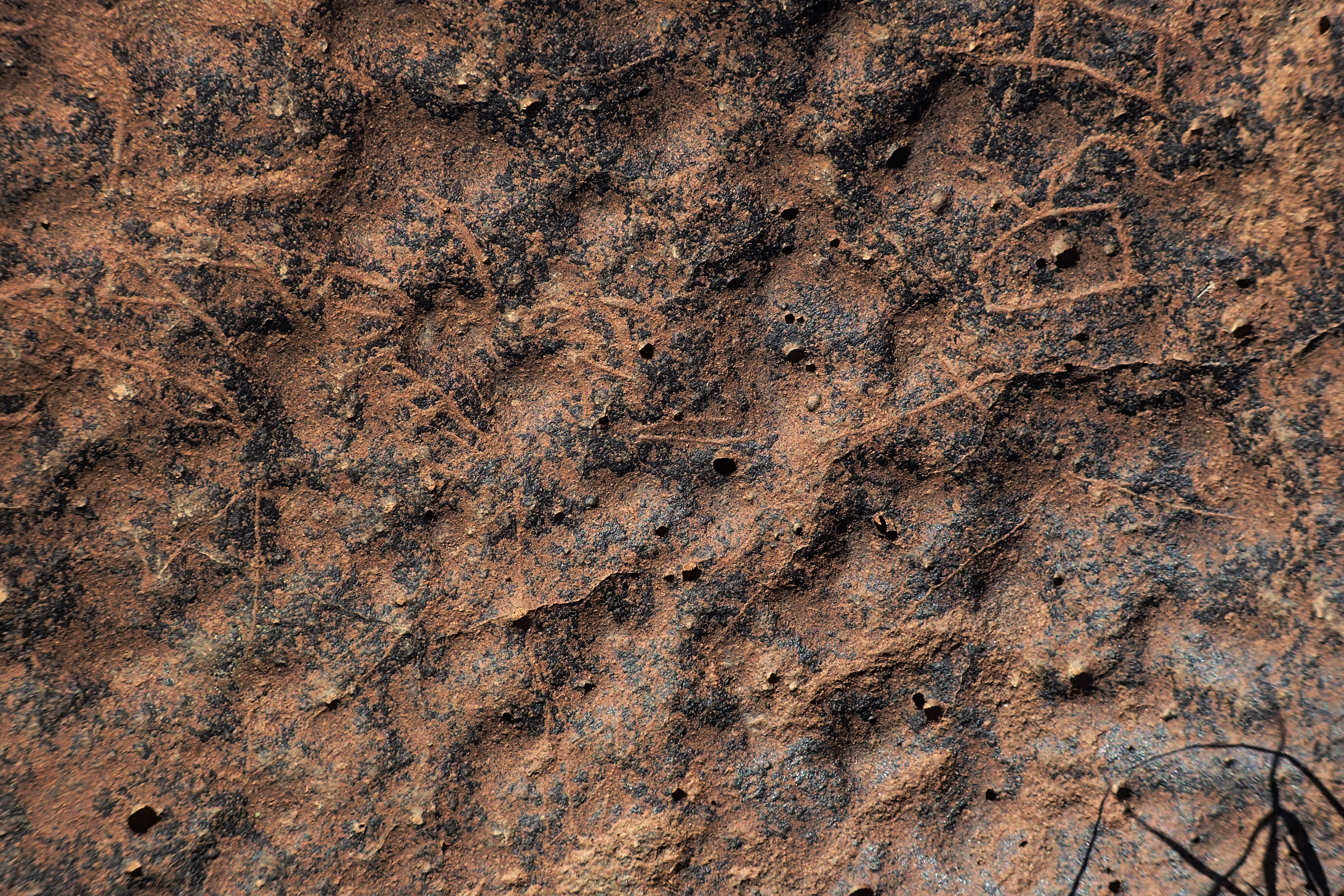 inscription of siglum BES20 257