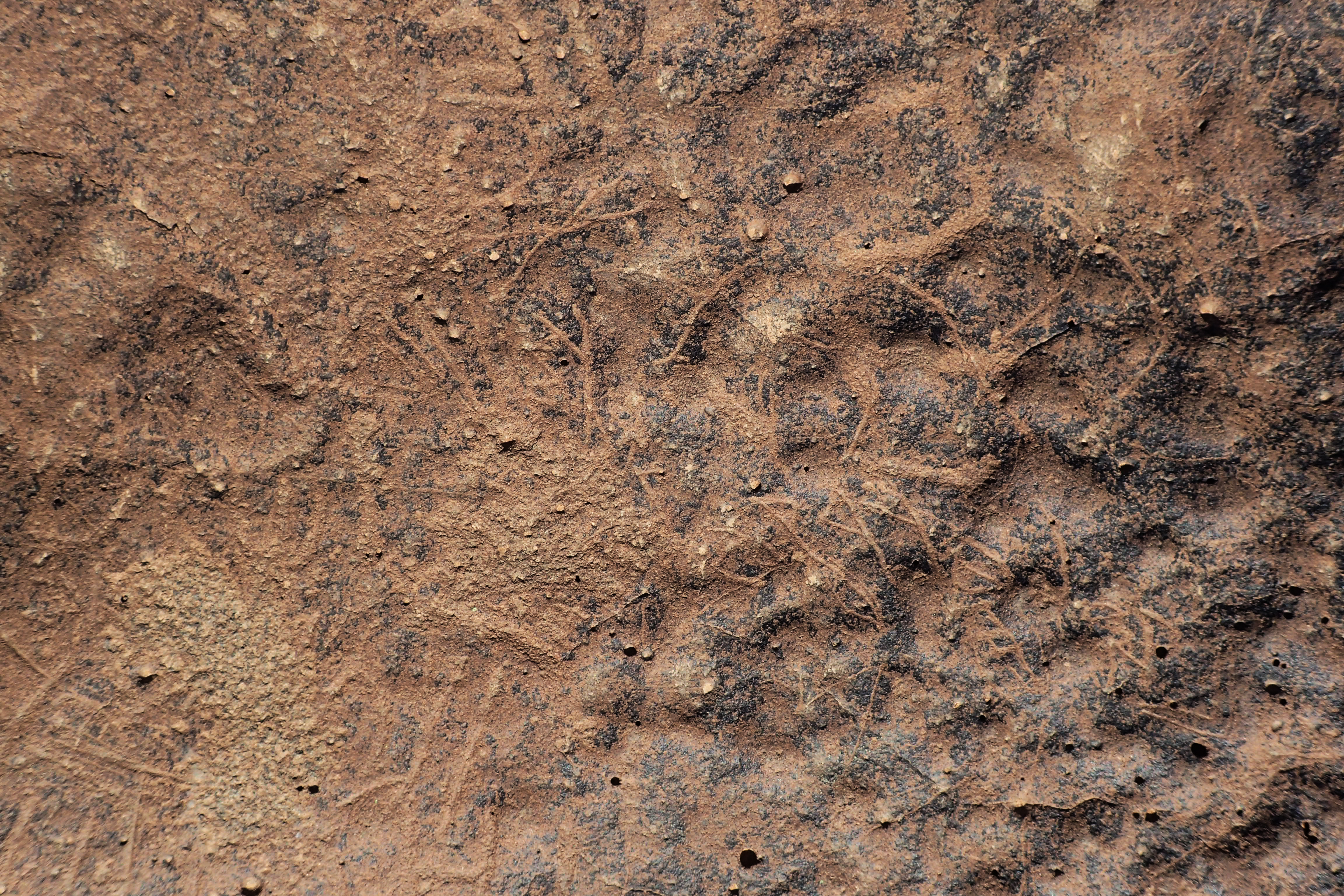 inscription of siglum BES20 257