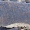 inscription of siglum BES20 260