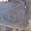 inscription of siglum BES20 264