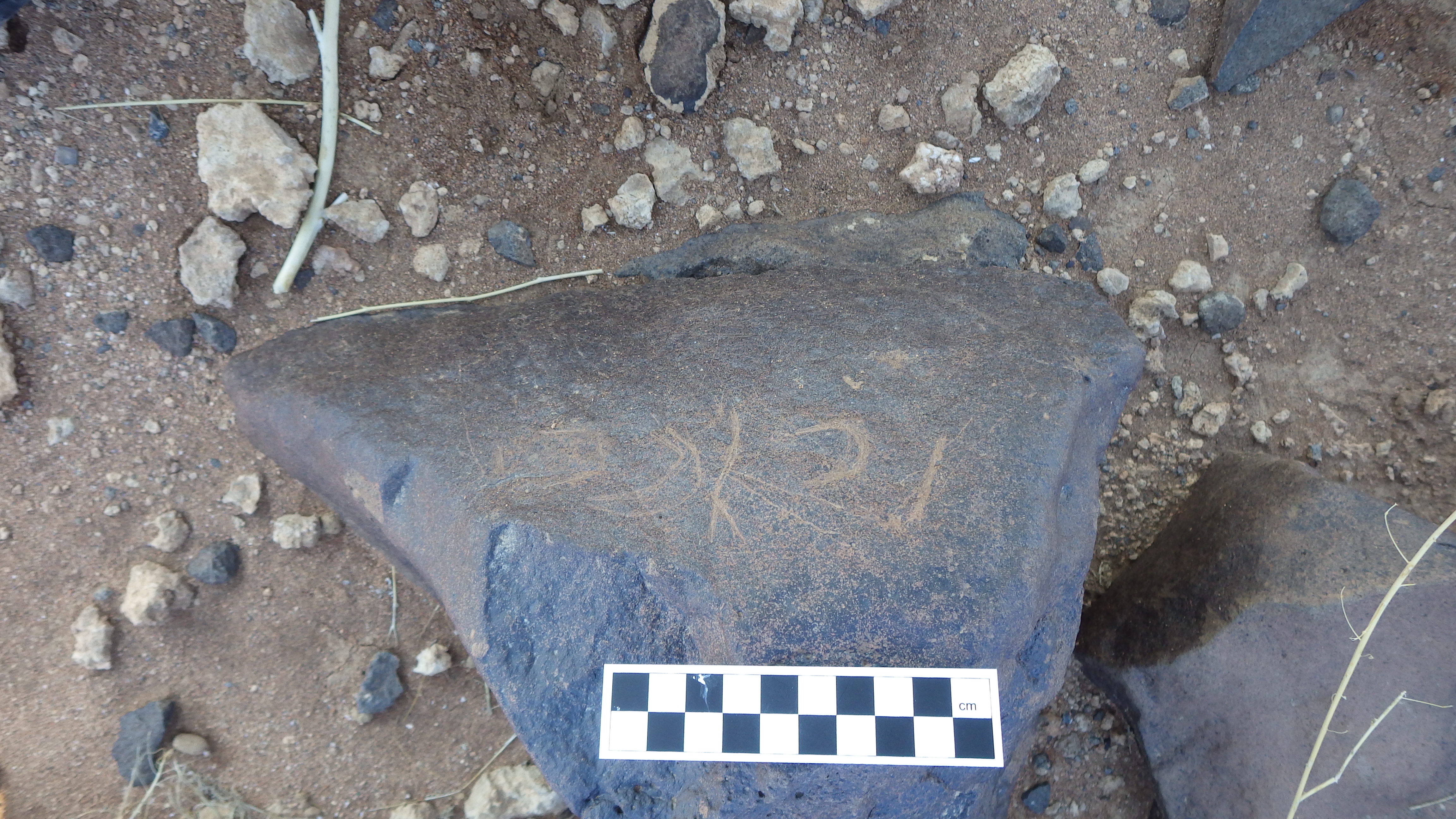 Image of siglum BES20 297