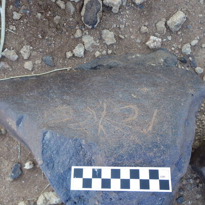 Image of siglum BES20 297