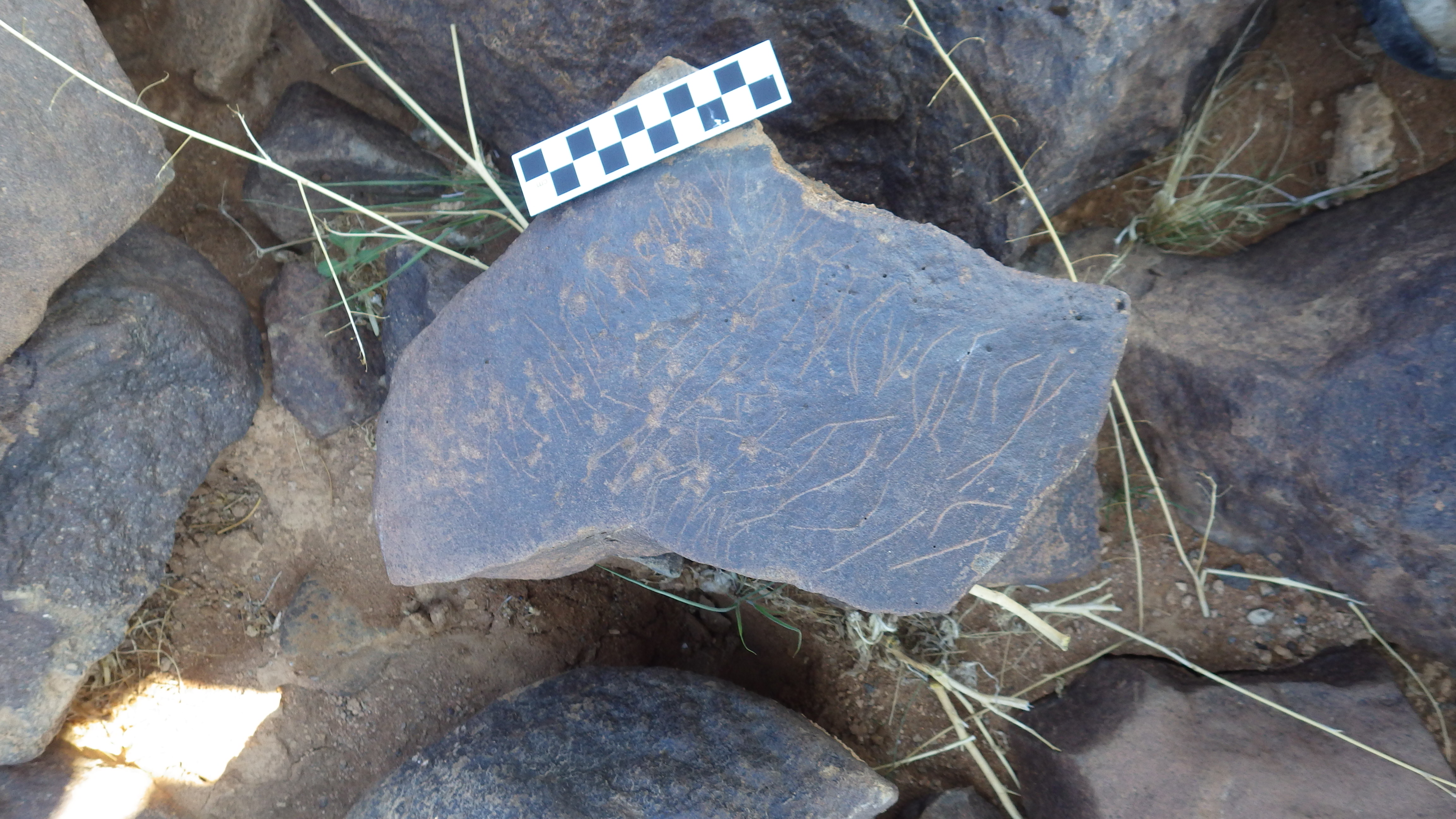 Image of siglum BES20 298