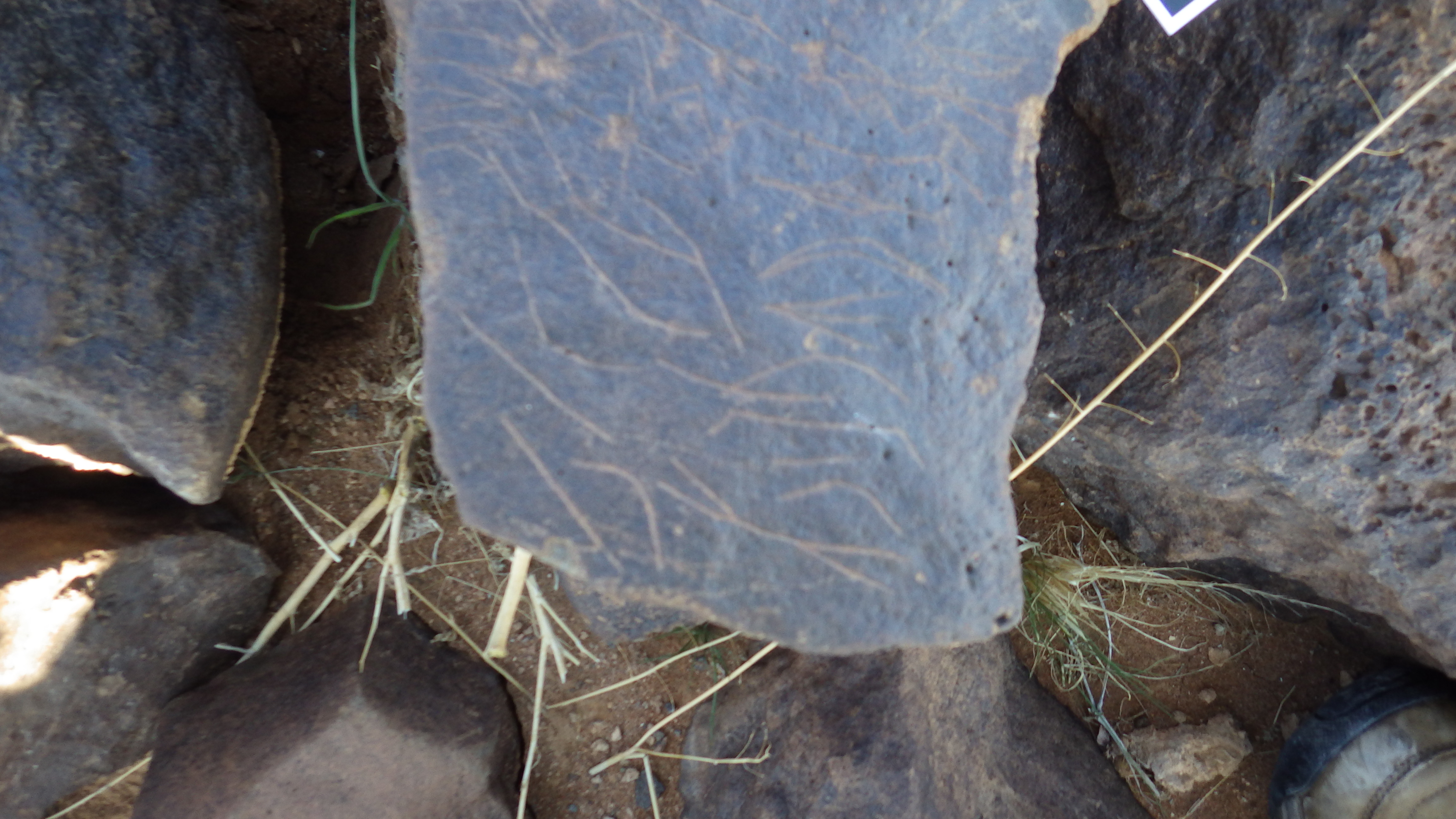 Image of siglum BES20 298