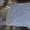 Image of siglum BES20 300