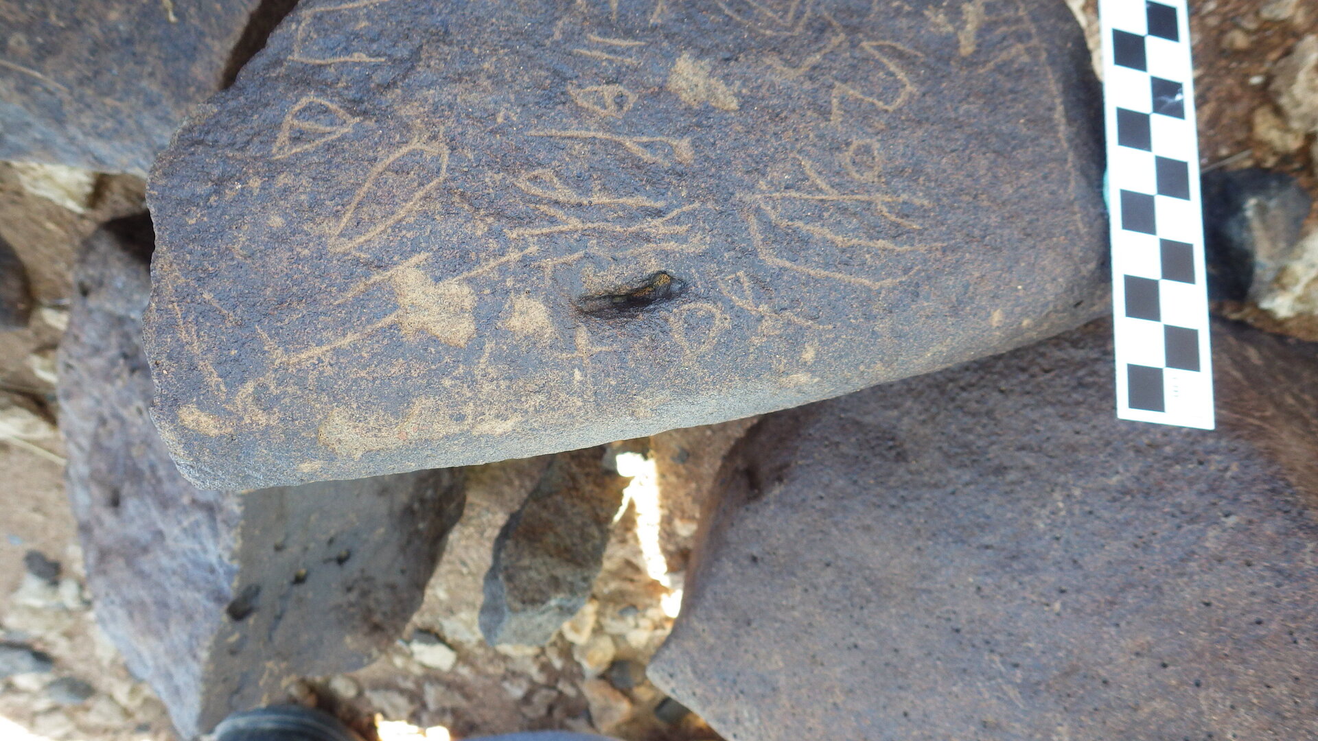 Image of siglum BES20 301