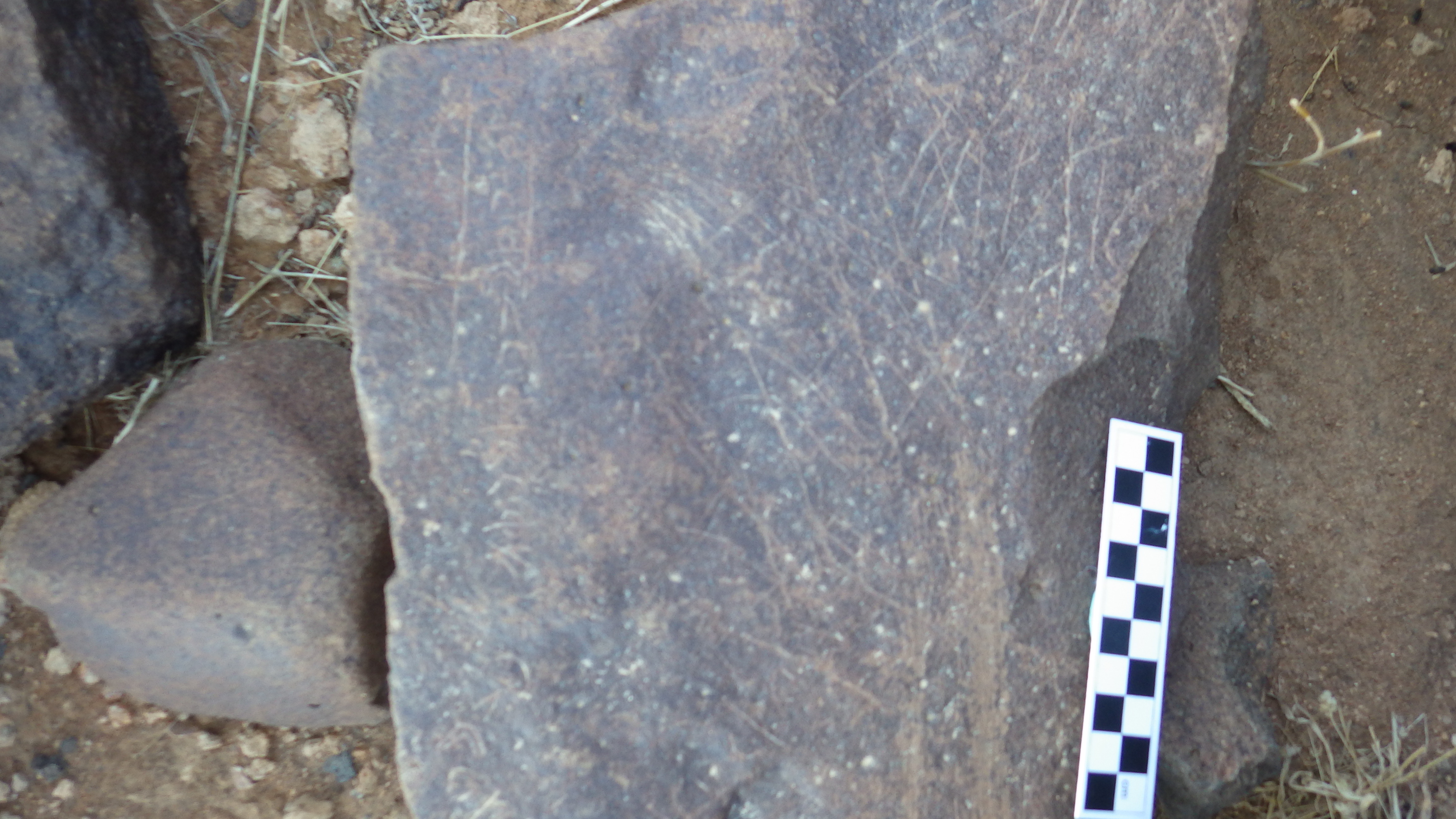 Image of siglum BES20 304