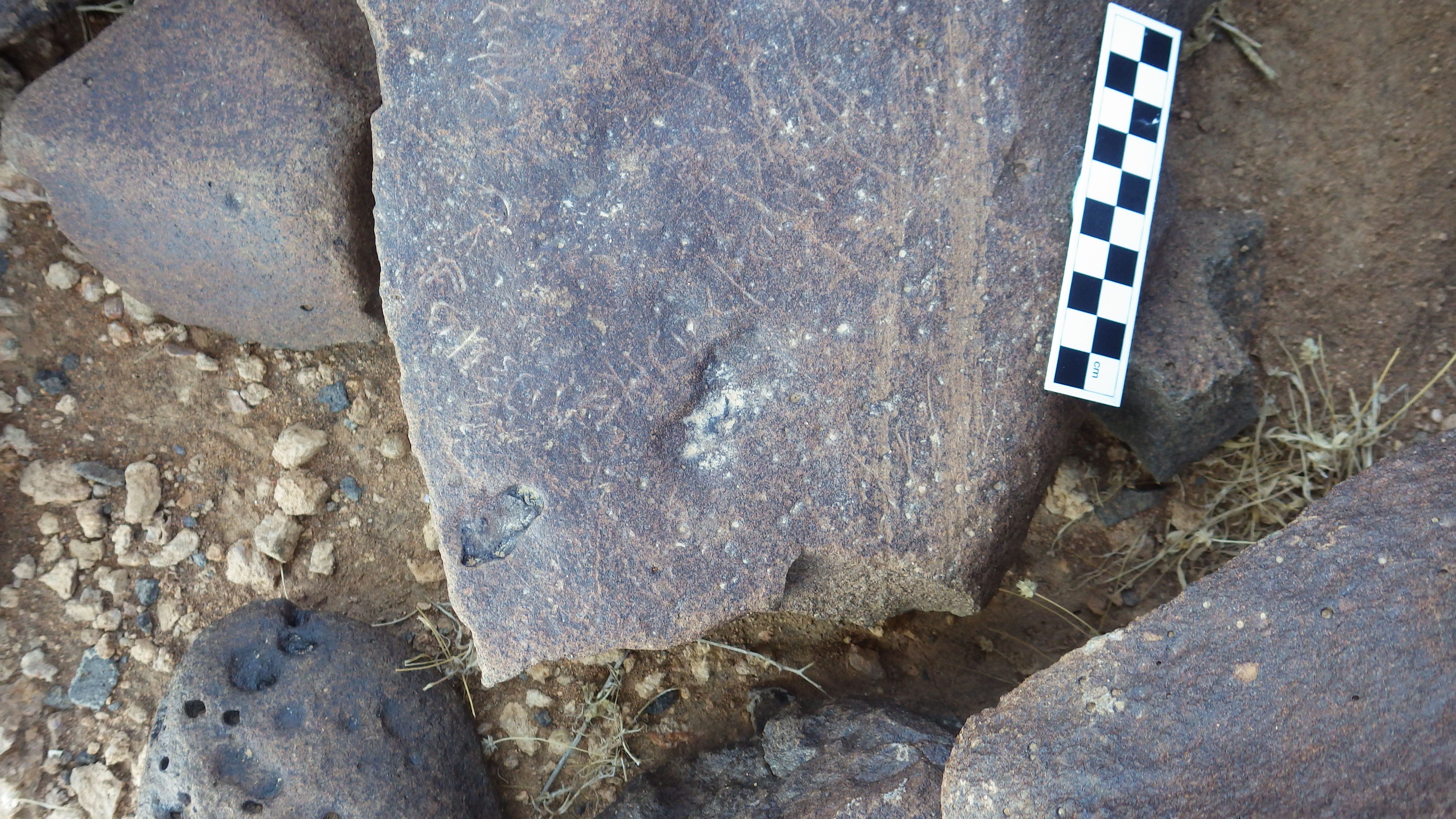 Image of siglum BES20 305