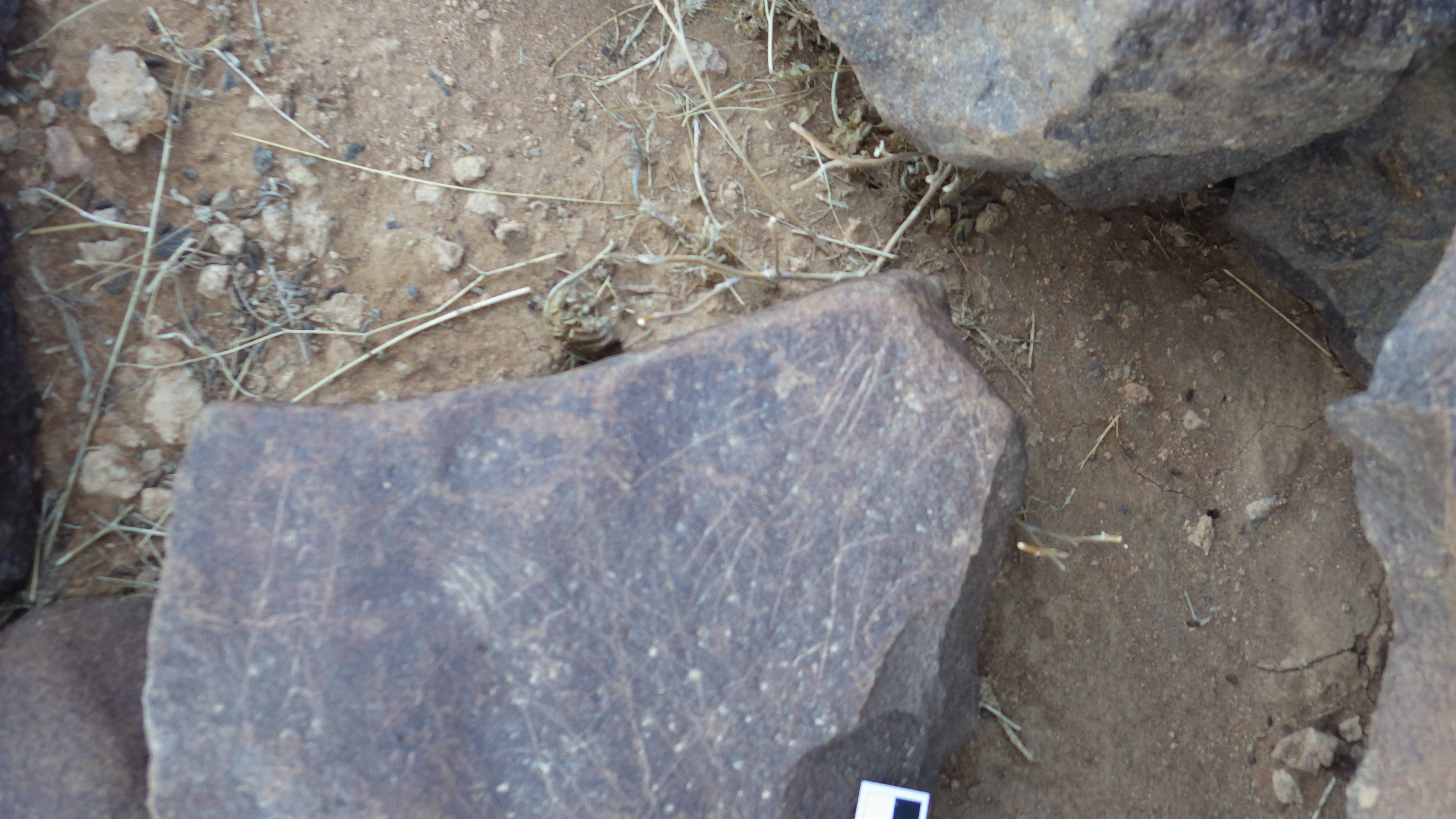 Image of siglum BES20 305