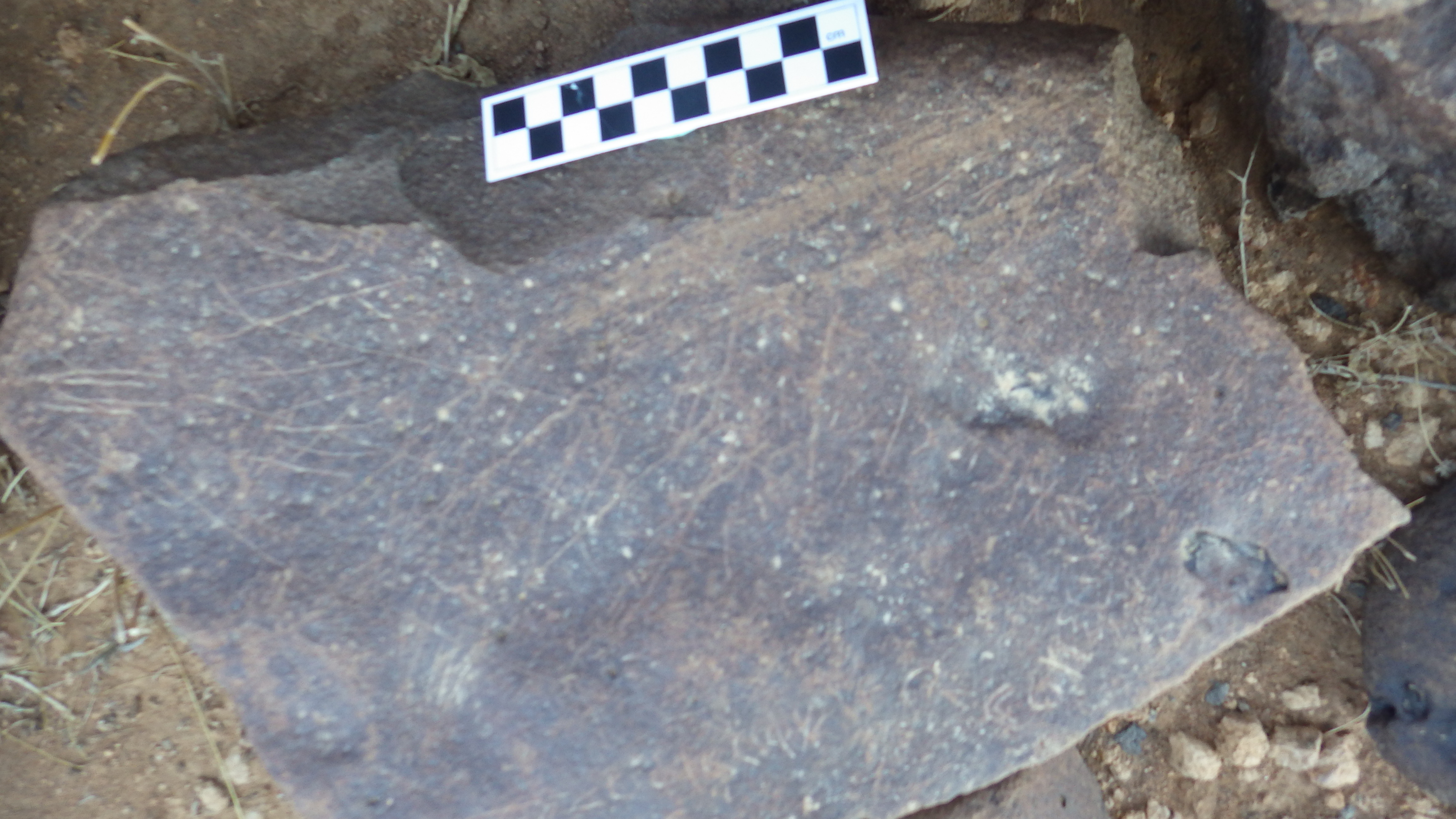 Image of siglum BES20 305