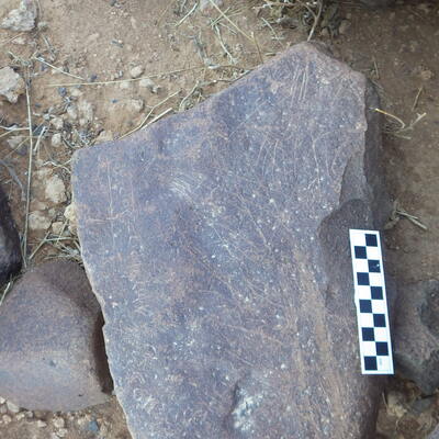 Image of siglum BES20 305