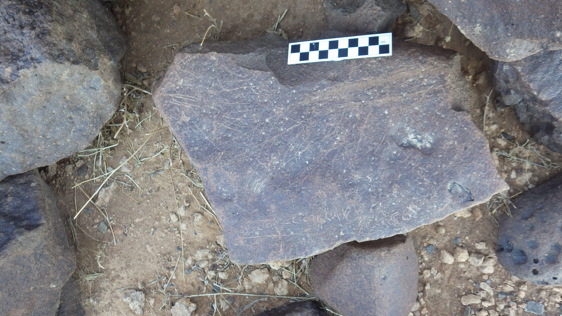 Image of siglum BES20 305
