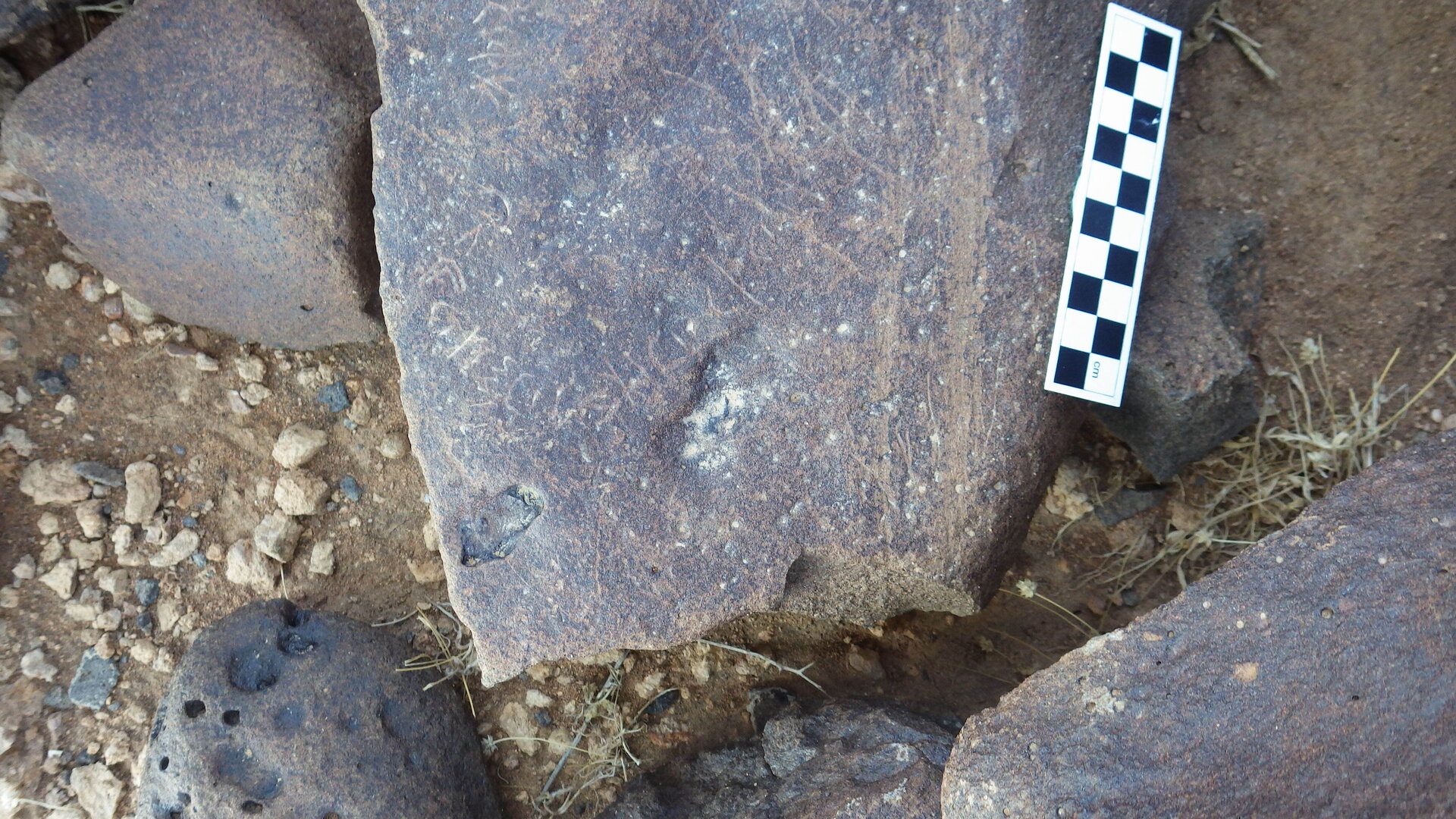Image of siglum BES20 305