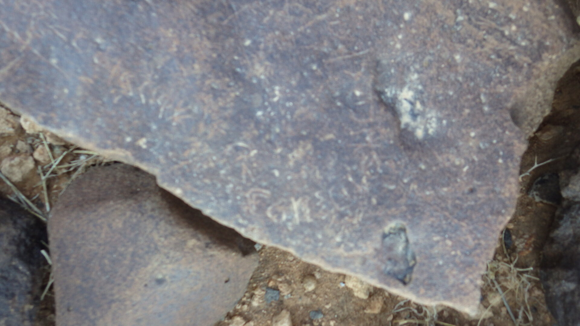 Image of siglum BES20 305